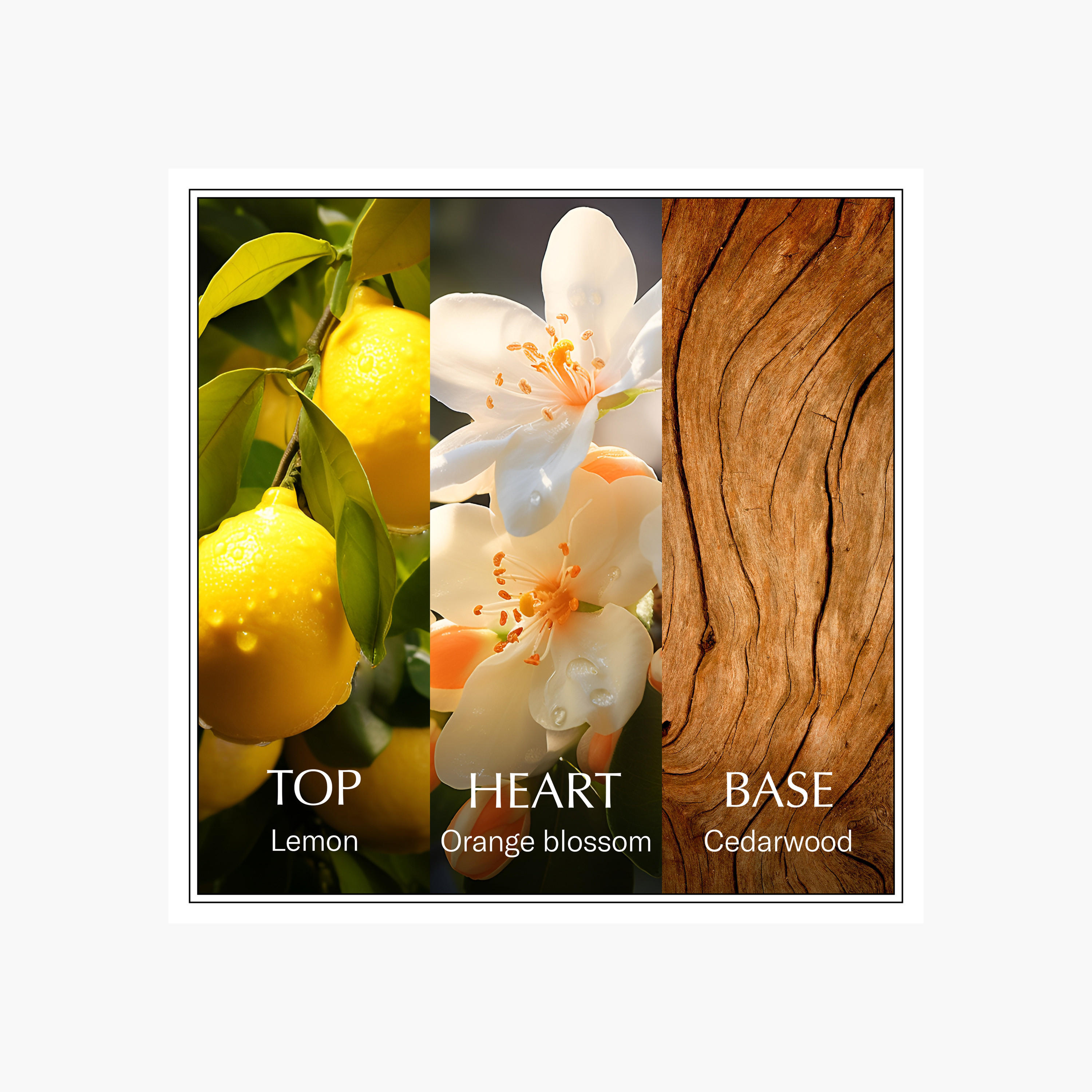 عطر أو دو تواليت ليمون للنساء من تشانسون دي أو - 100 مل-beautyandpersonalcare-fragrance-women-image-4