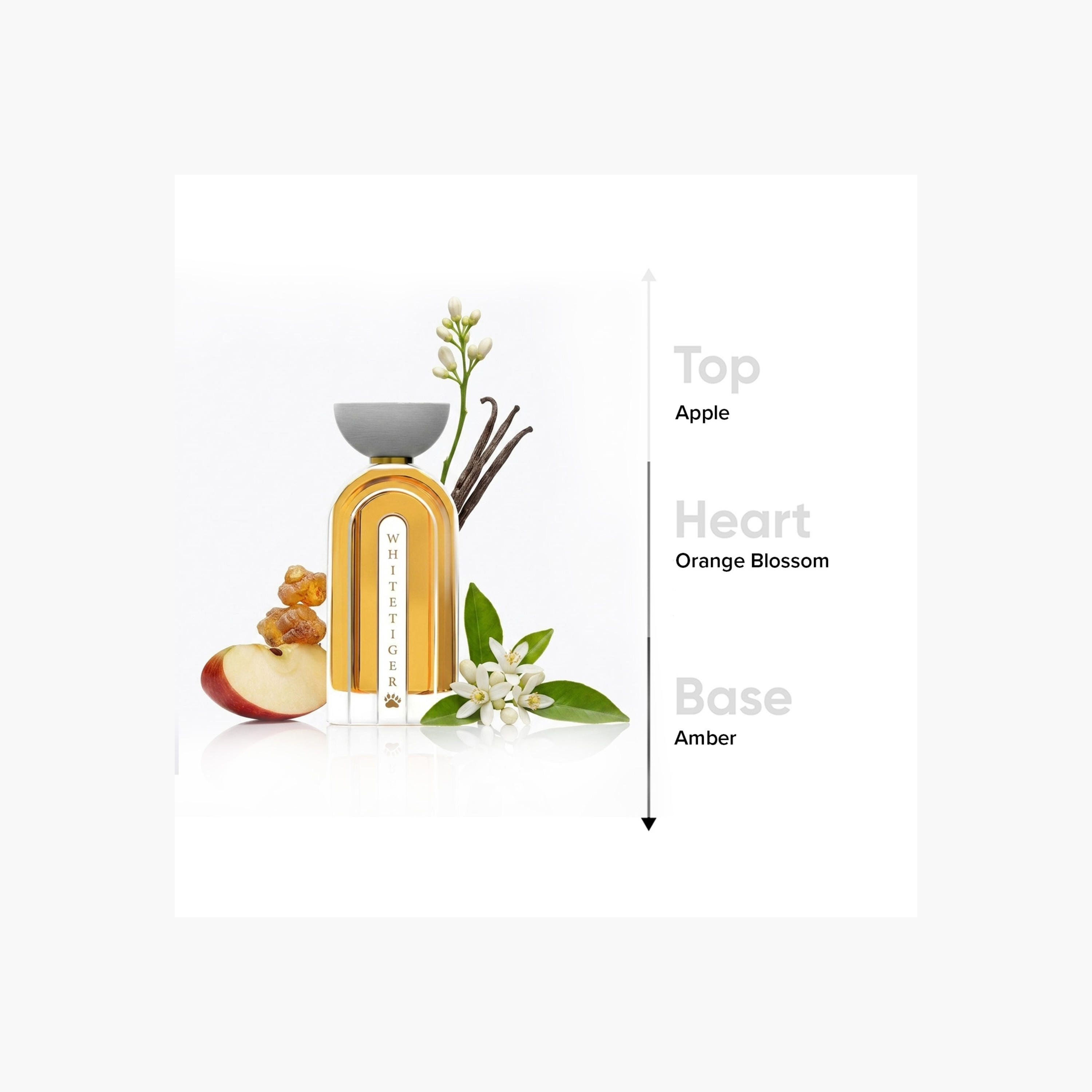 عطر أو دو برفان وايت تايجر من أحمد المغربي - 100 مل-beautyandpersonalcare-fragrance-unisex-image-4