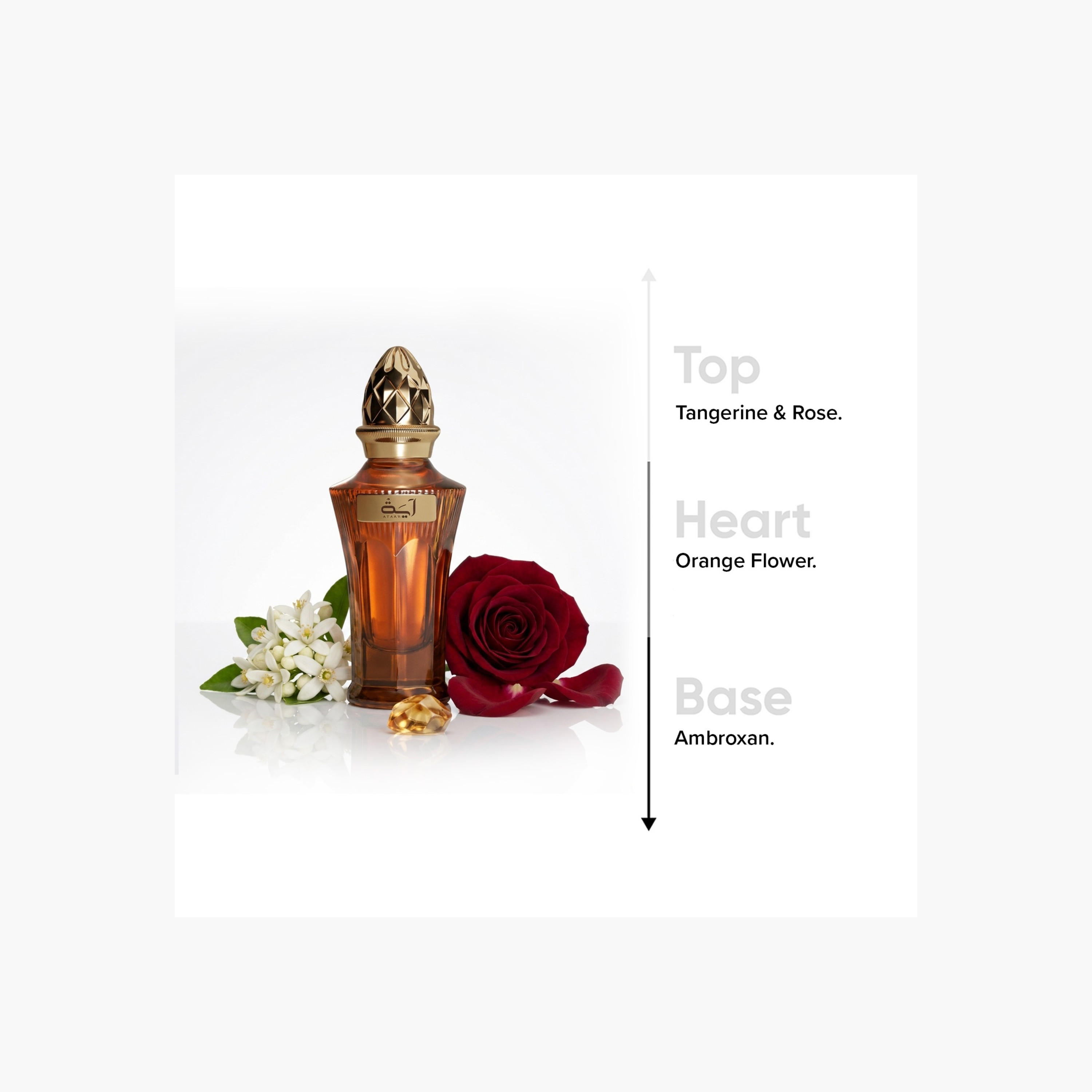 عطر أو دو برفان آية من أحمد المغربي - 50 مل-beautyandpersonalcare-fragrance-unisex-image-5