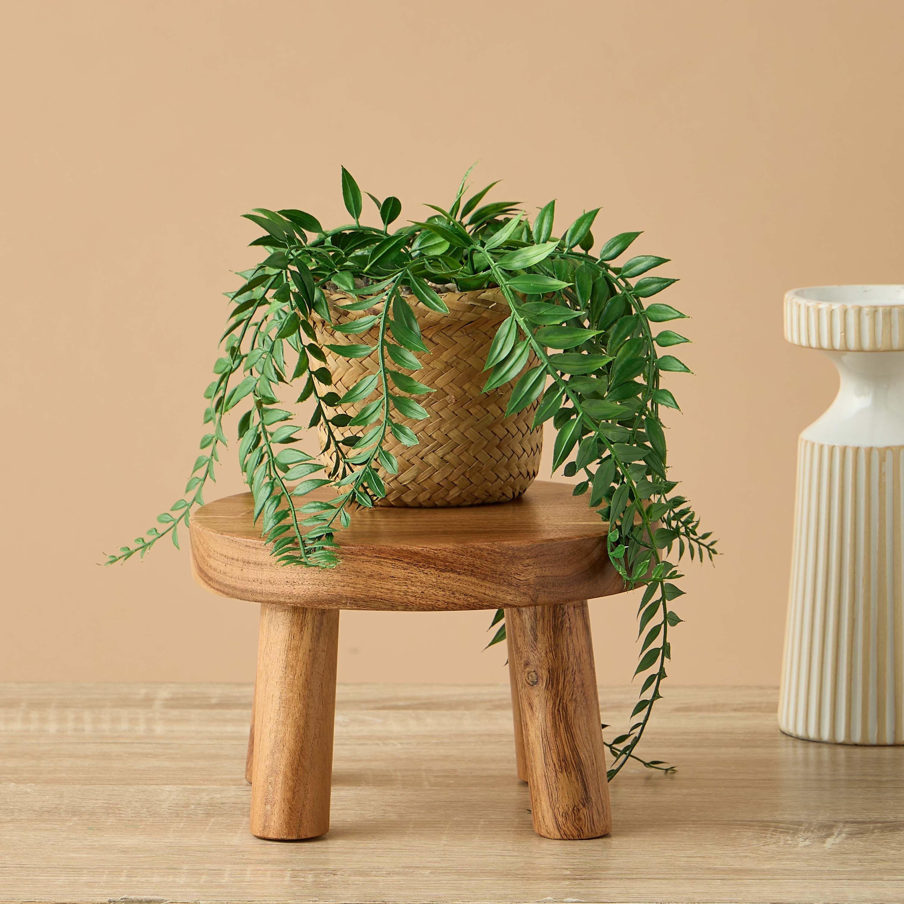 Wooden Plant Stand - 20x13 cms-household-gardenandoutdoor-potsandplanters-image-4