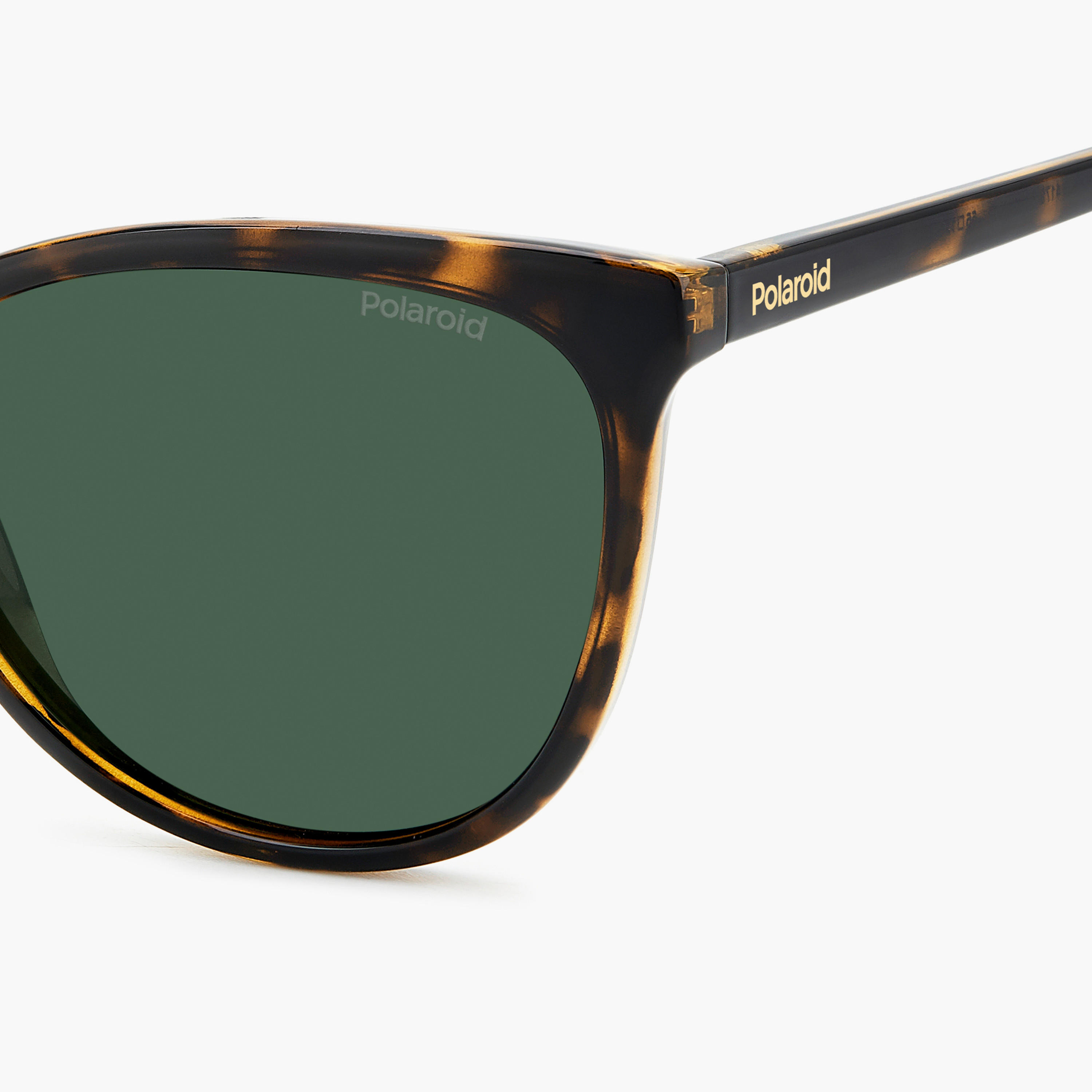 بولارويد- نظارة شمسية عين قطة أخضر 55 مم-women-sunglasses-image-6