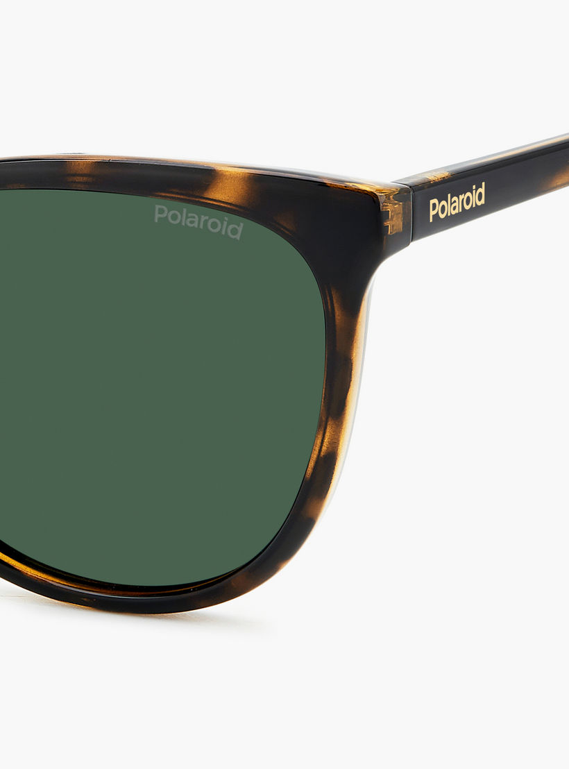 بولارويد- نظارة شمسية عين قطة أخضر 55 مم-women-sunglasses-image-6
