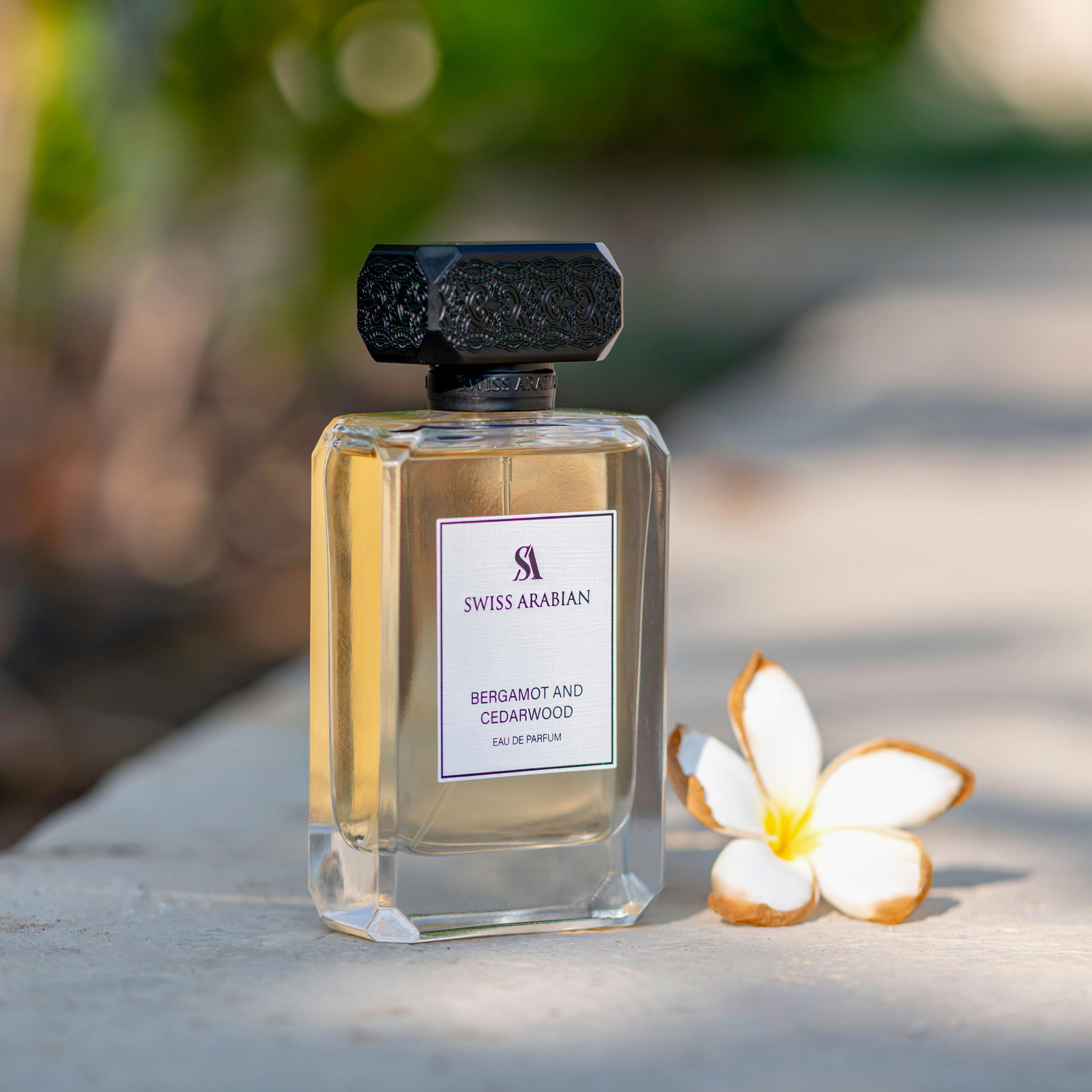 عطر أو دو بارفان برغموت وخشب الأرز من سويس آرابيان - 100 مل-beautyandpersonalcare-fragrance-unisex-image-4