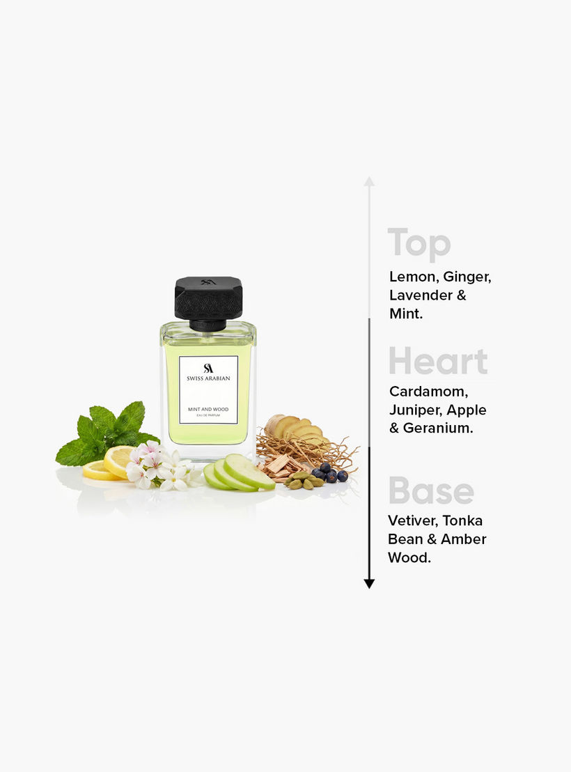 عطر أو دو بارفان منت وود للرجال من سويس أربيان - 100 مل-beautyandpersonalcare-fragrance-men-image-4