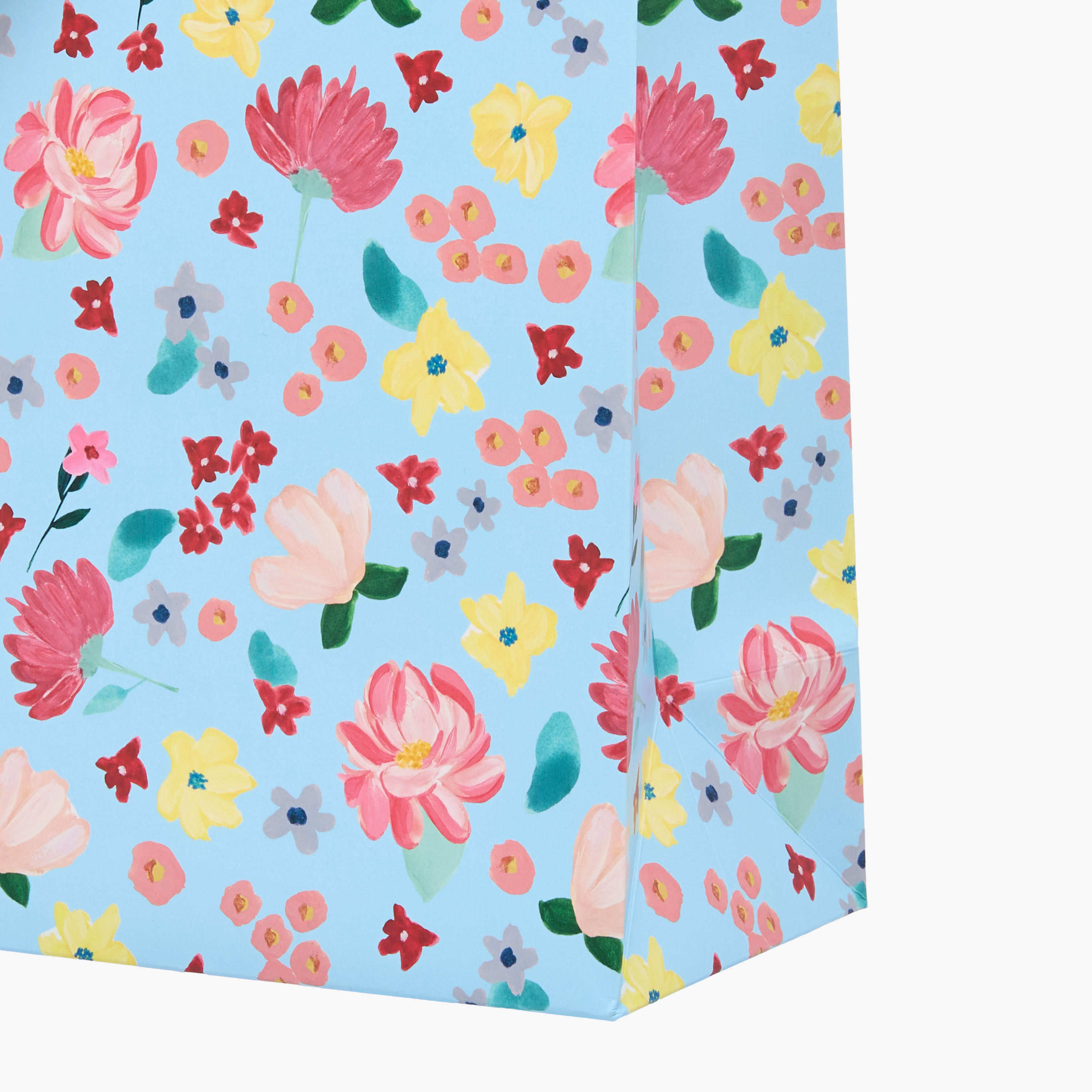 Eurowrap Floral Print Gift Bag - 22x0.4x25 cms-household-giftingaccessories-giftings-image-4
