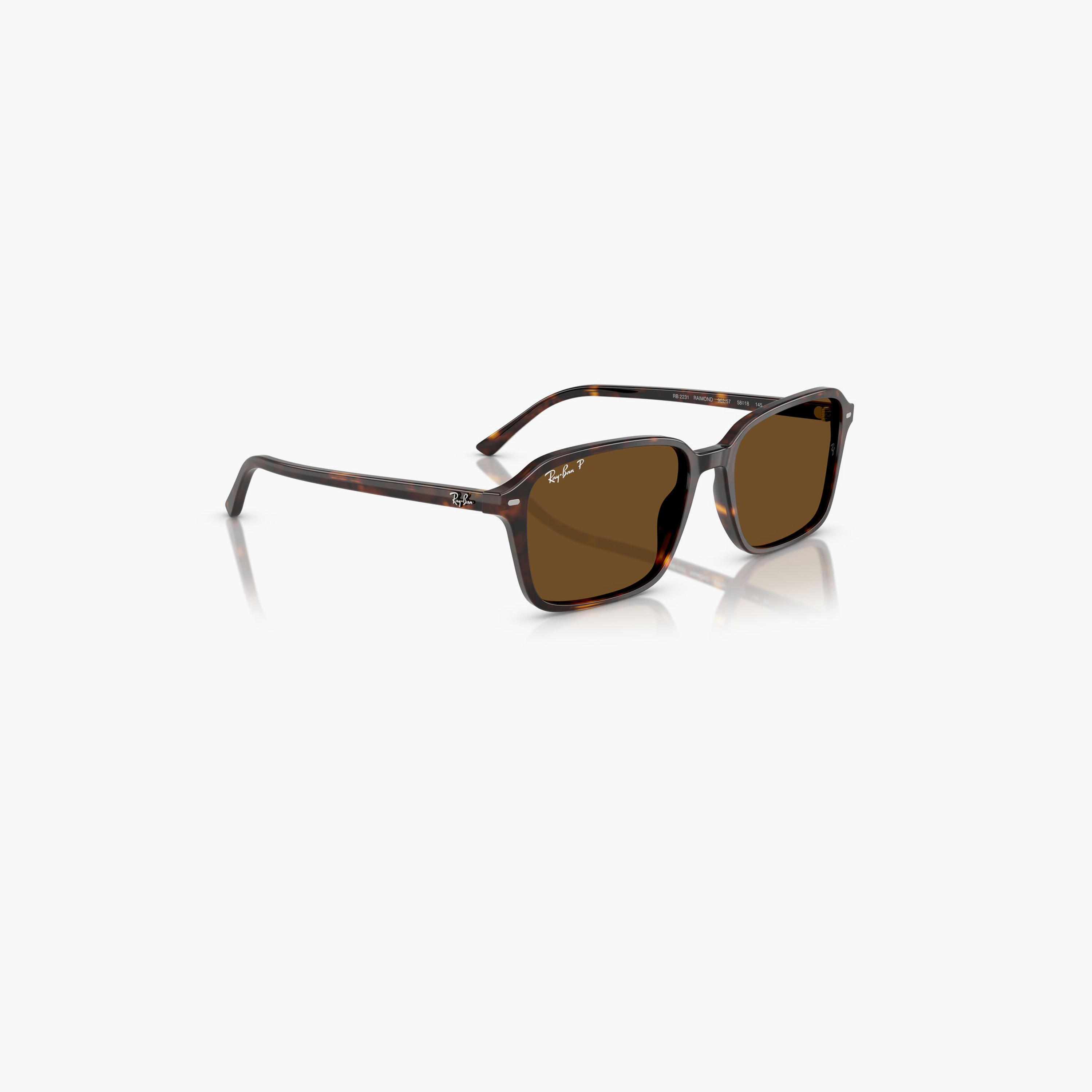 Ray-Ban Raimond Polarized 56MM Brown Square Sunglasses - 0RB2231-men-sunglasses-image-3