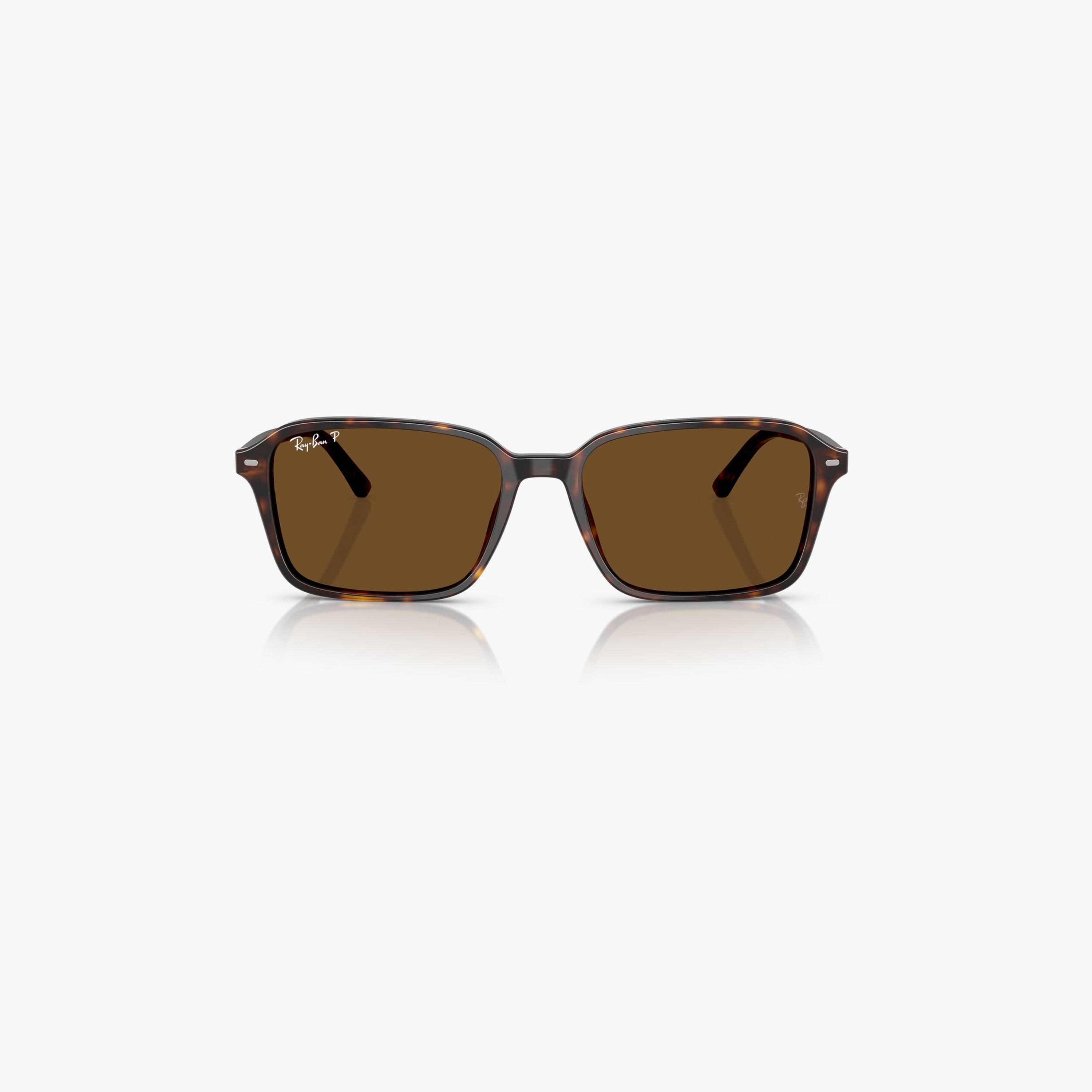 Ray-Ban Raimond Polarized 56MM Brown Square Sunglasses - 0RB2231-men-sunglasses-image-4