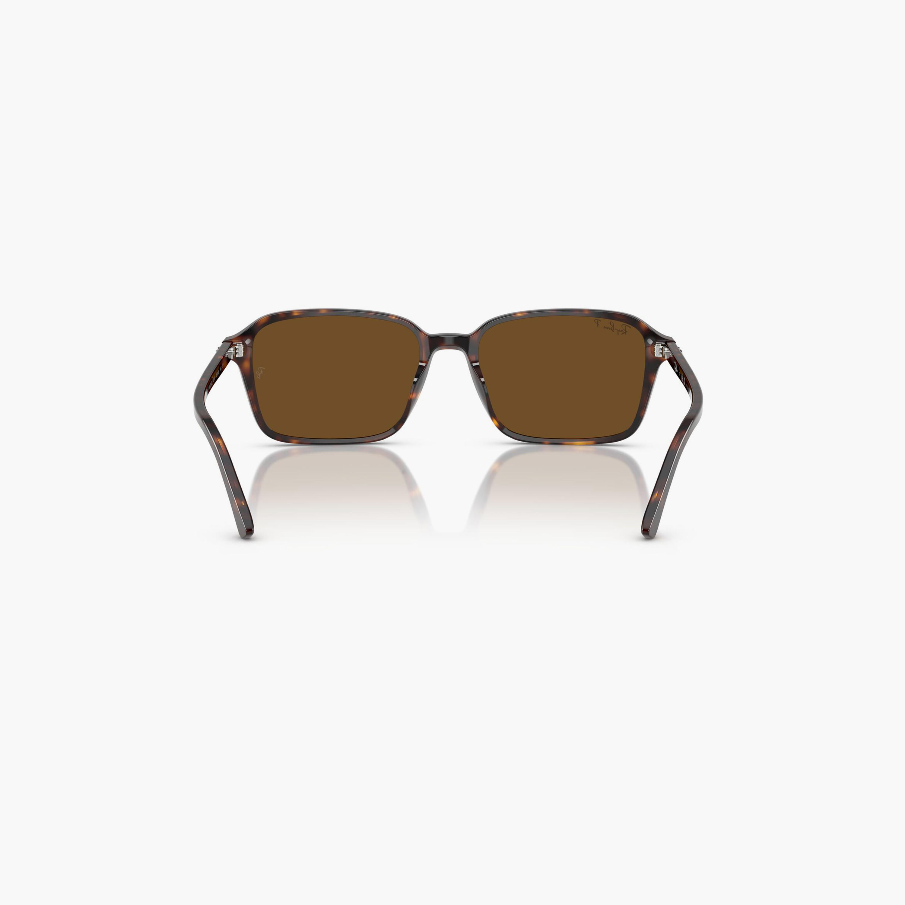 Ray-Ban Raimond Polarized 56MM Brown Square Sunglasses - 0RB2231-men-sunglasses-image-6