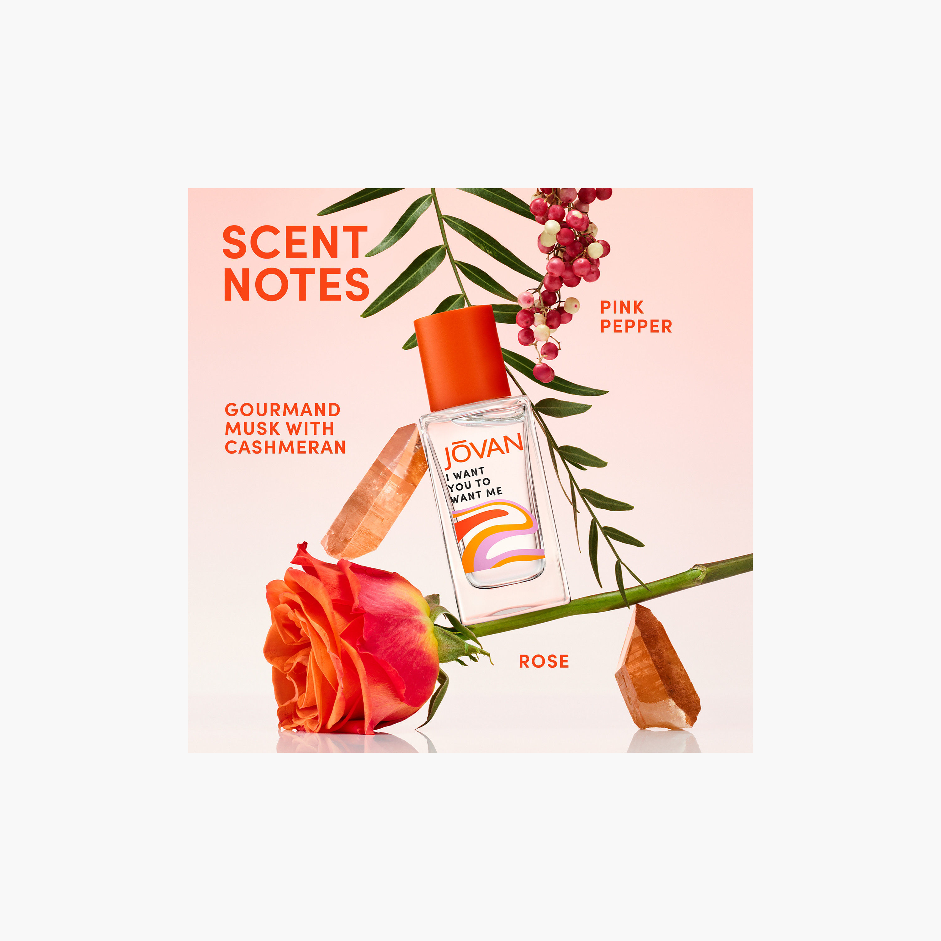Jovan I Want You To Want Me Eau de Parfum - 100 ml-beautyandpersonalcare-fragrance-unisex-image-4