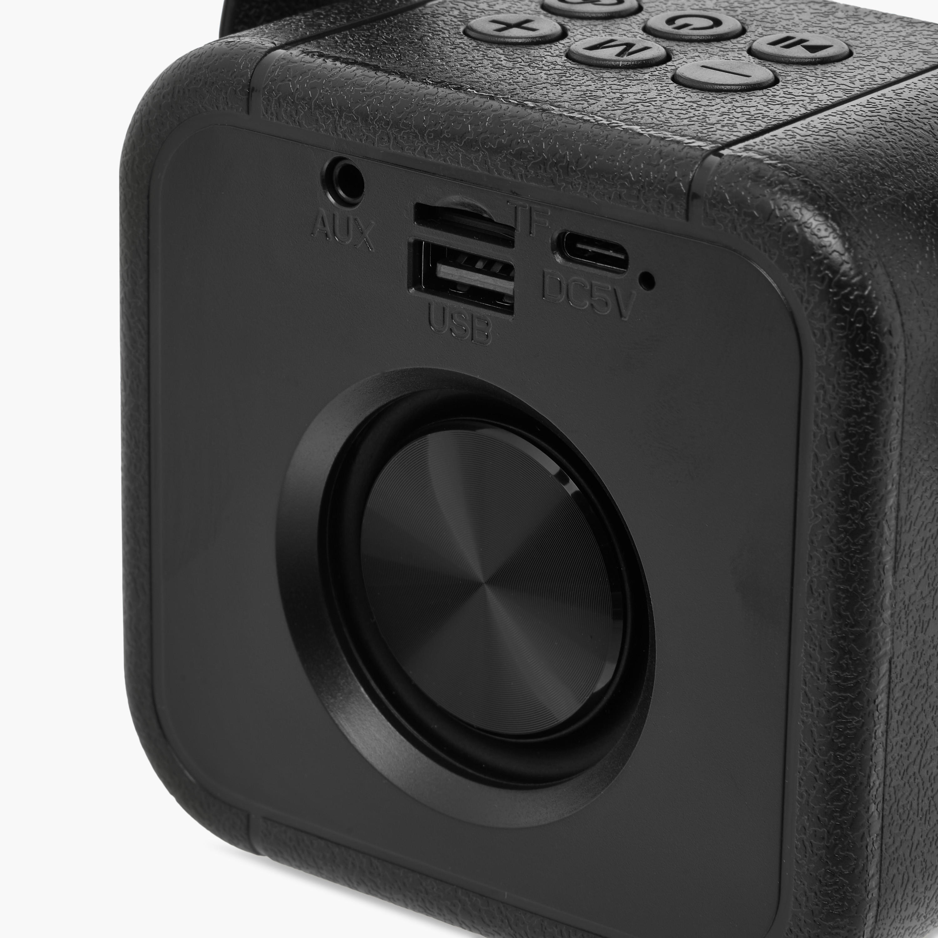Findz Karaoke Speaker with 2 Microphones-electronics-accessories-image-12