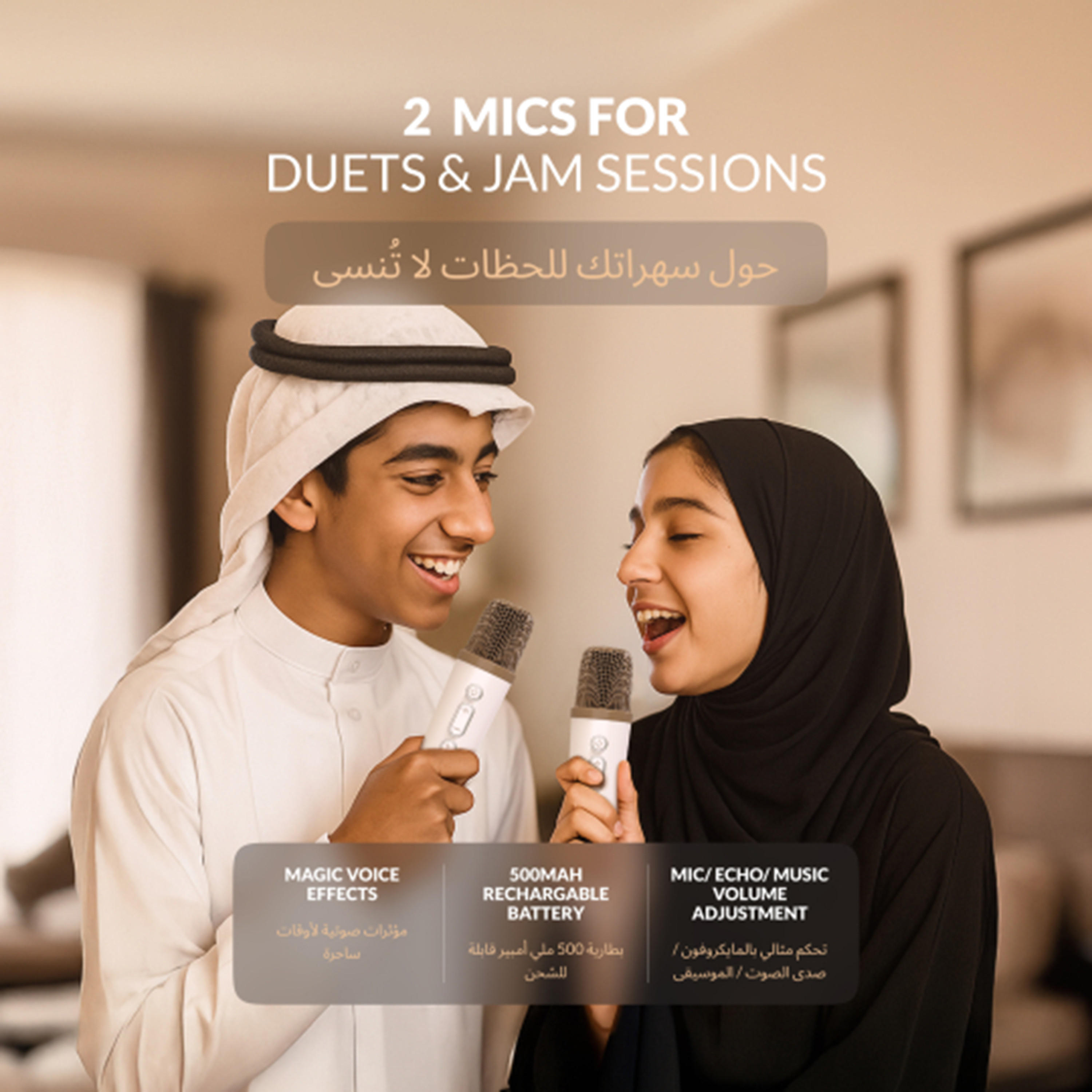 Findz Karaoke Speaker with 2 Microphones-electronics-accessories-image-15