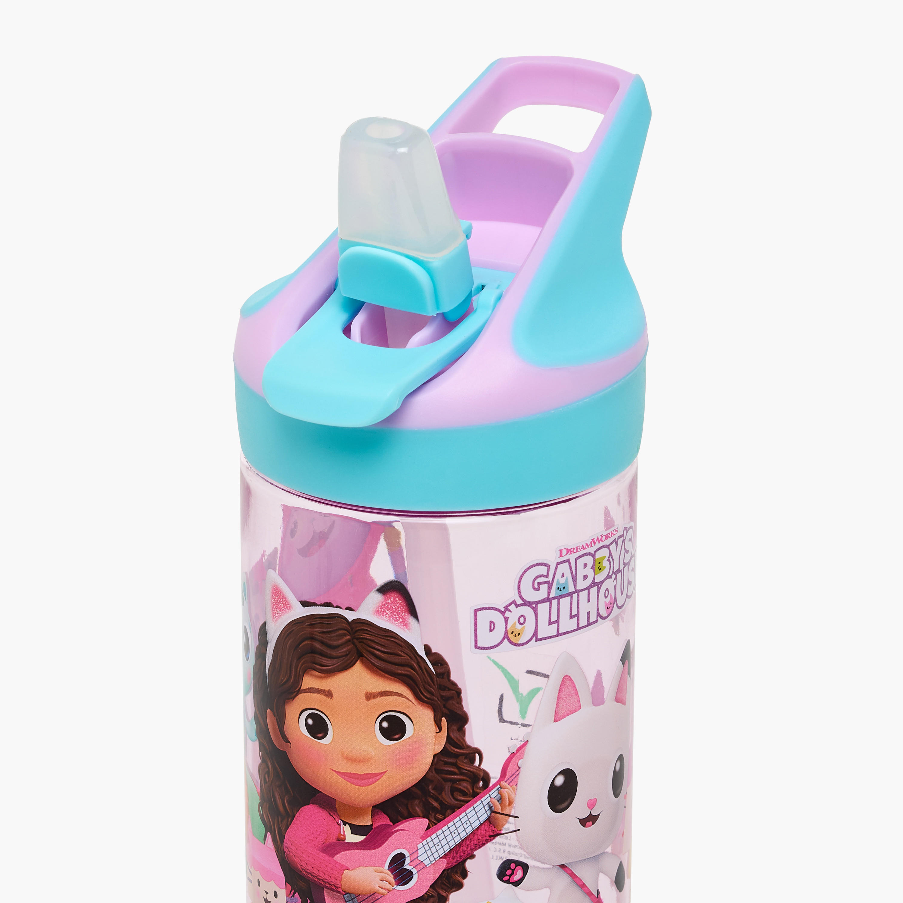 Gabby's Dollhouse Print Water Bottle-school-waterbottles-image-4