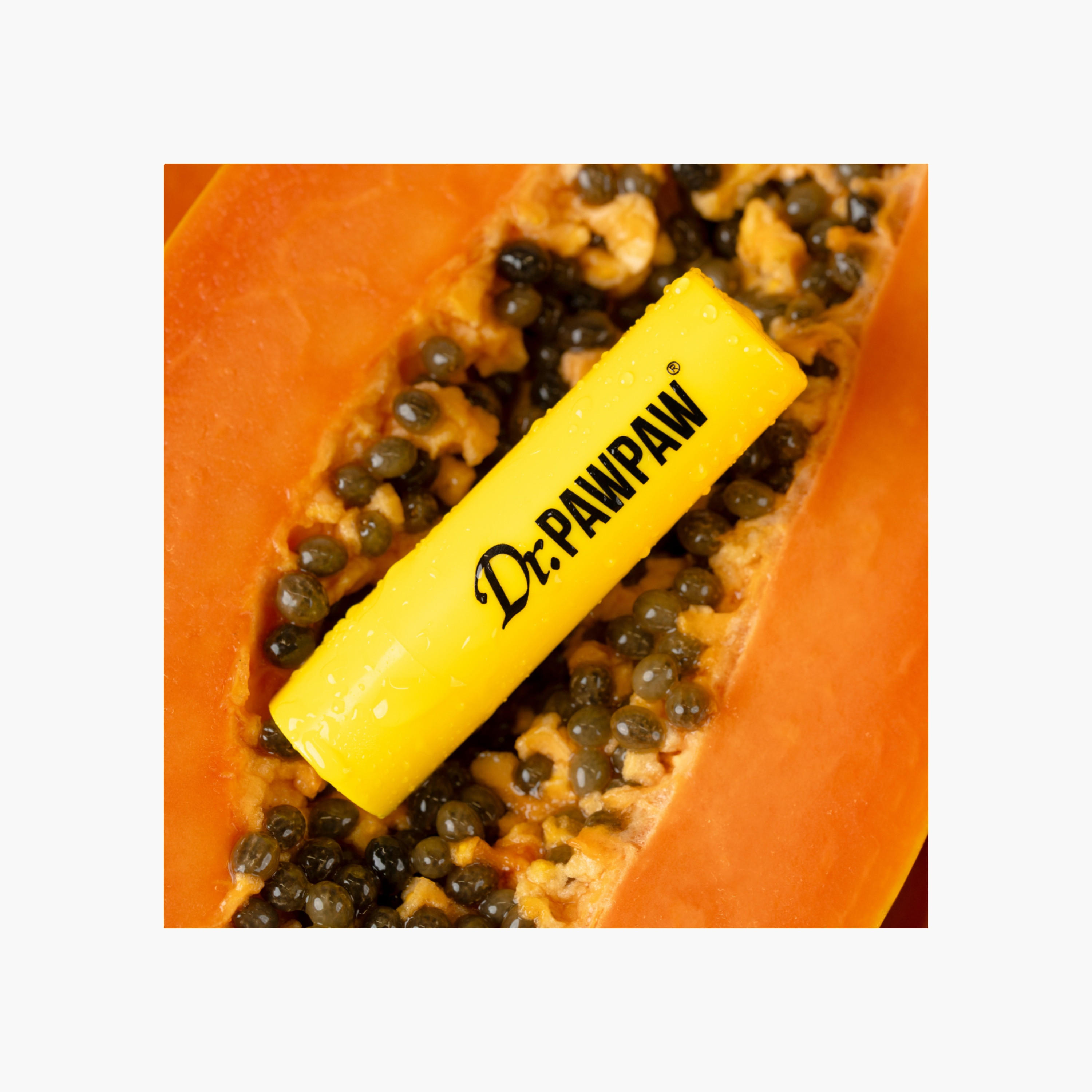 Dr. PAWPAW Lip Balm for Dryness with Castor Oil and Aloe Vera - 4 gms-beautyandpersonalcare-kbeauty-makeup-lips-lipglossesandbalms-image-6