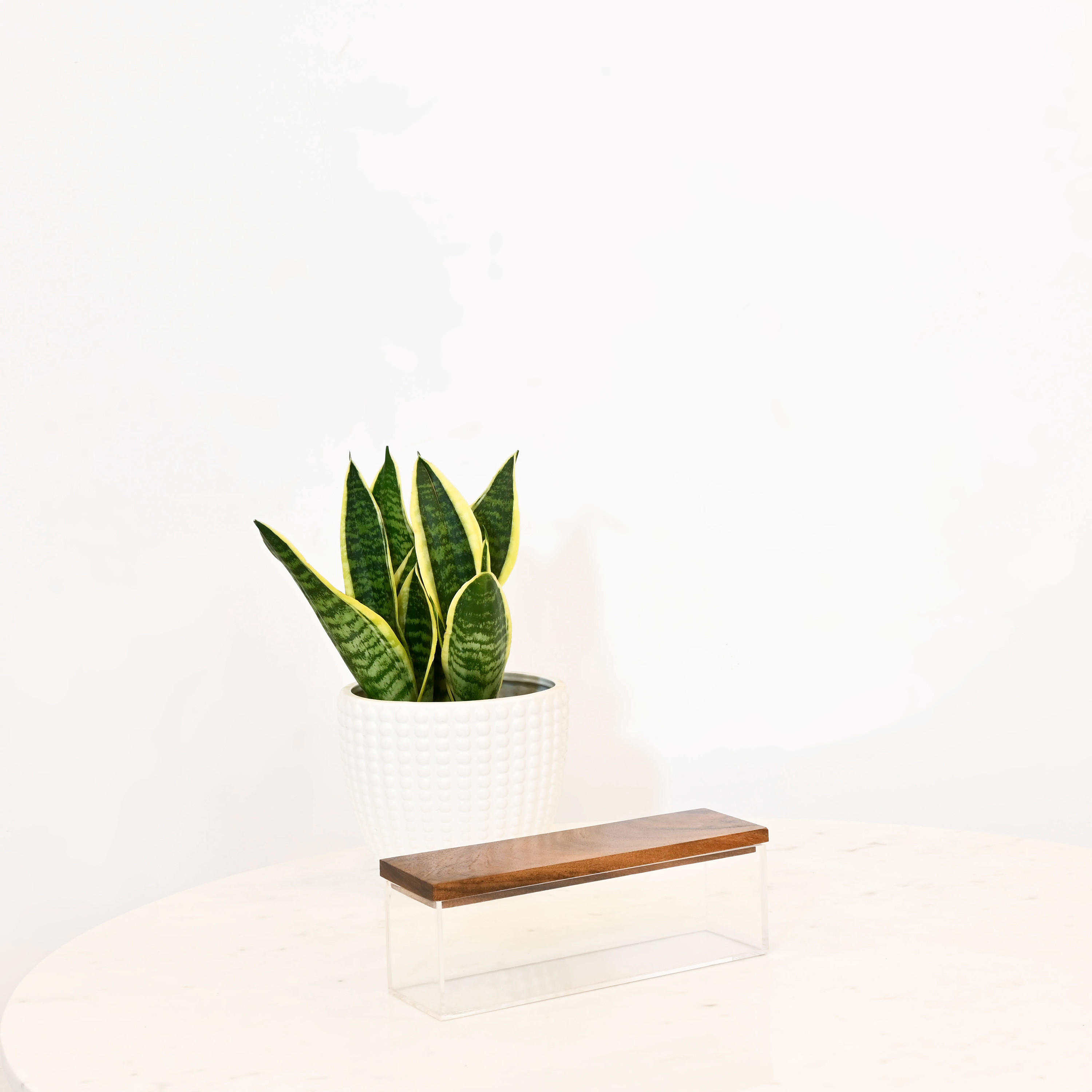 Crafted by Lifestyle Acrylic Decorative Box with Wooden Lid-household-decor-boxesandtrays-image-1