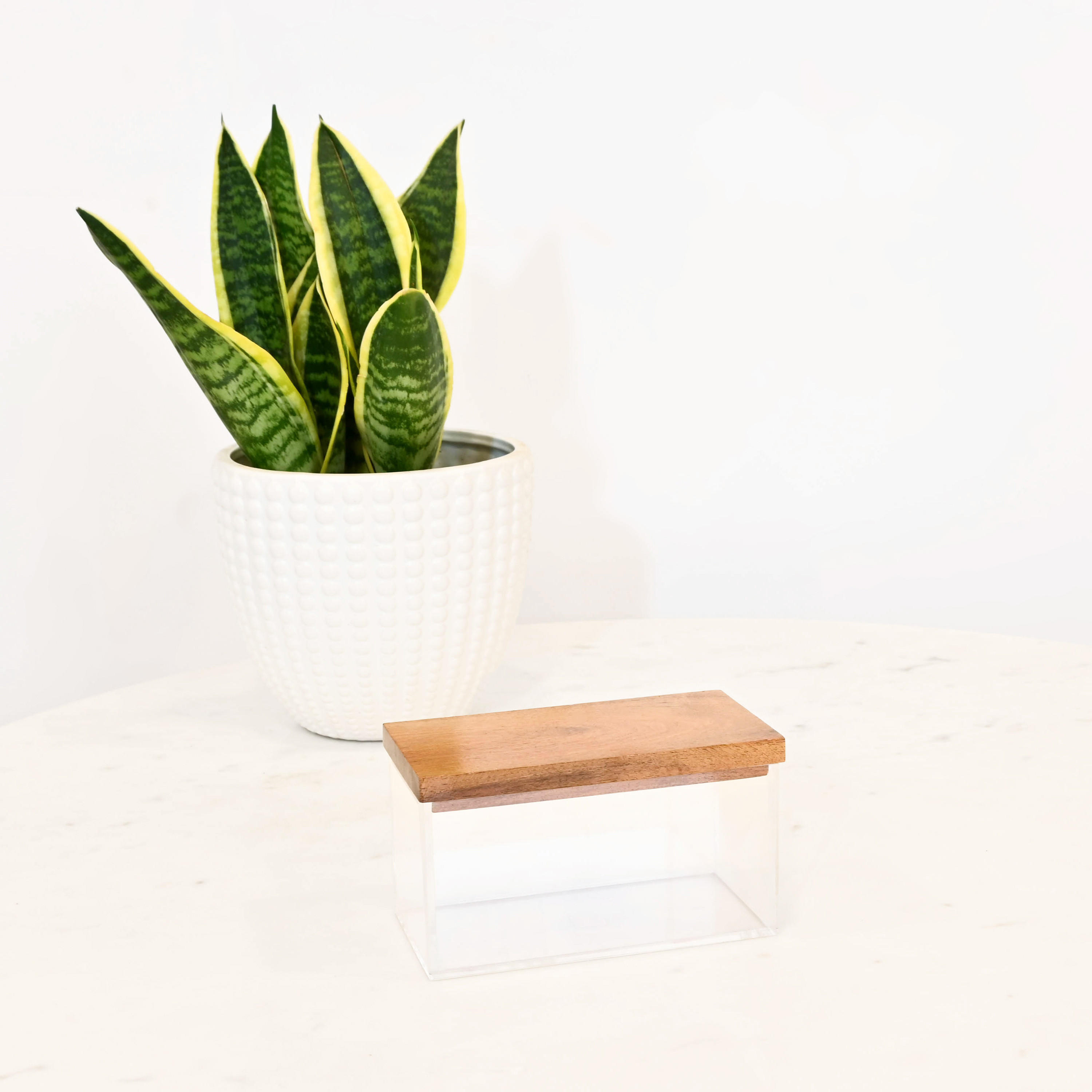 Crafted by Lifestyle Acrylic Decorative Box with Wooden Lid-household-decor-boxesandtrays-image-2