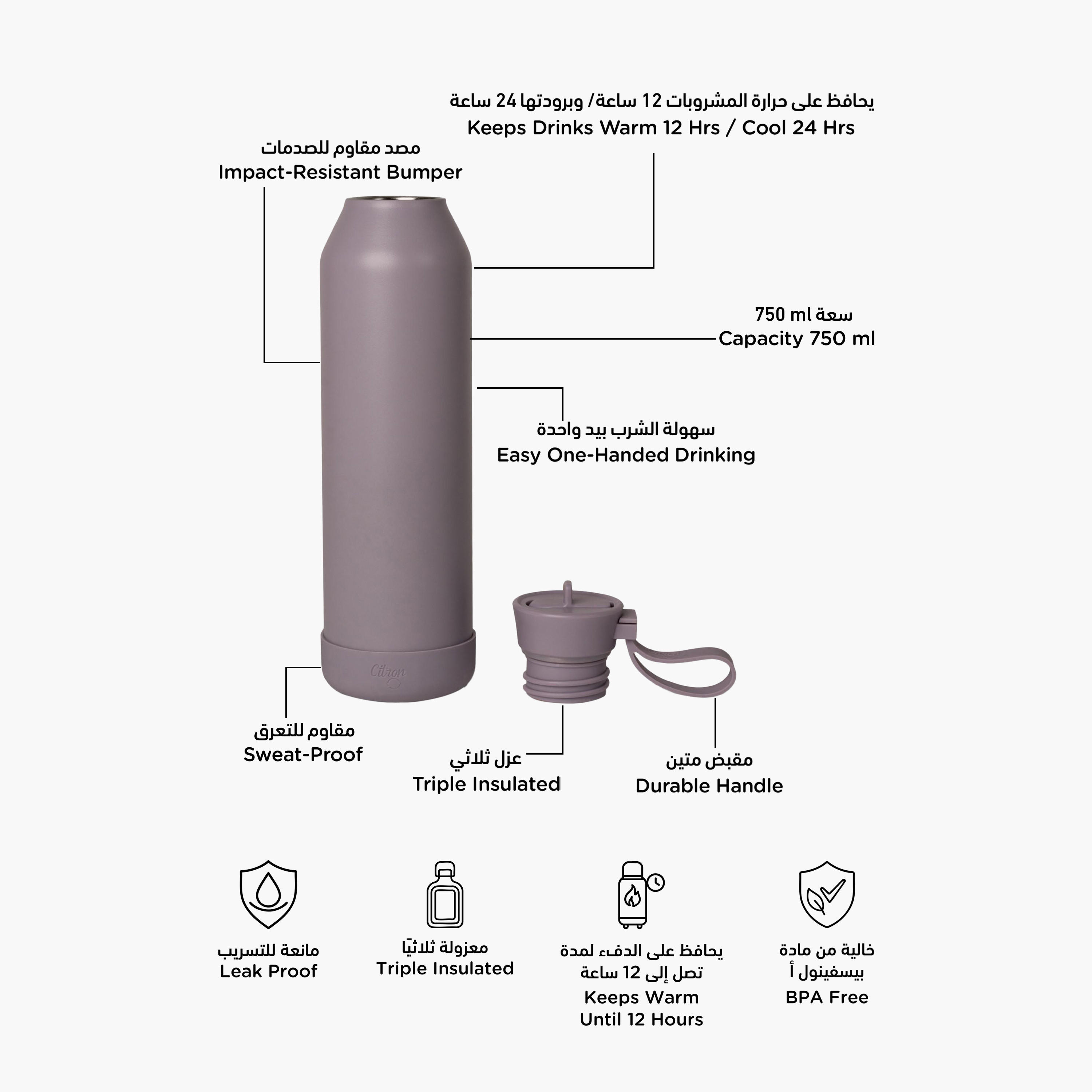 قارورة مياه عازلة سادة بجدار مزدوج من سيترون - 750 مل-school-waterbottles-image-2