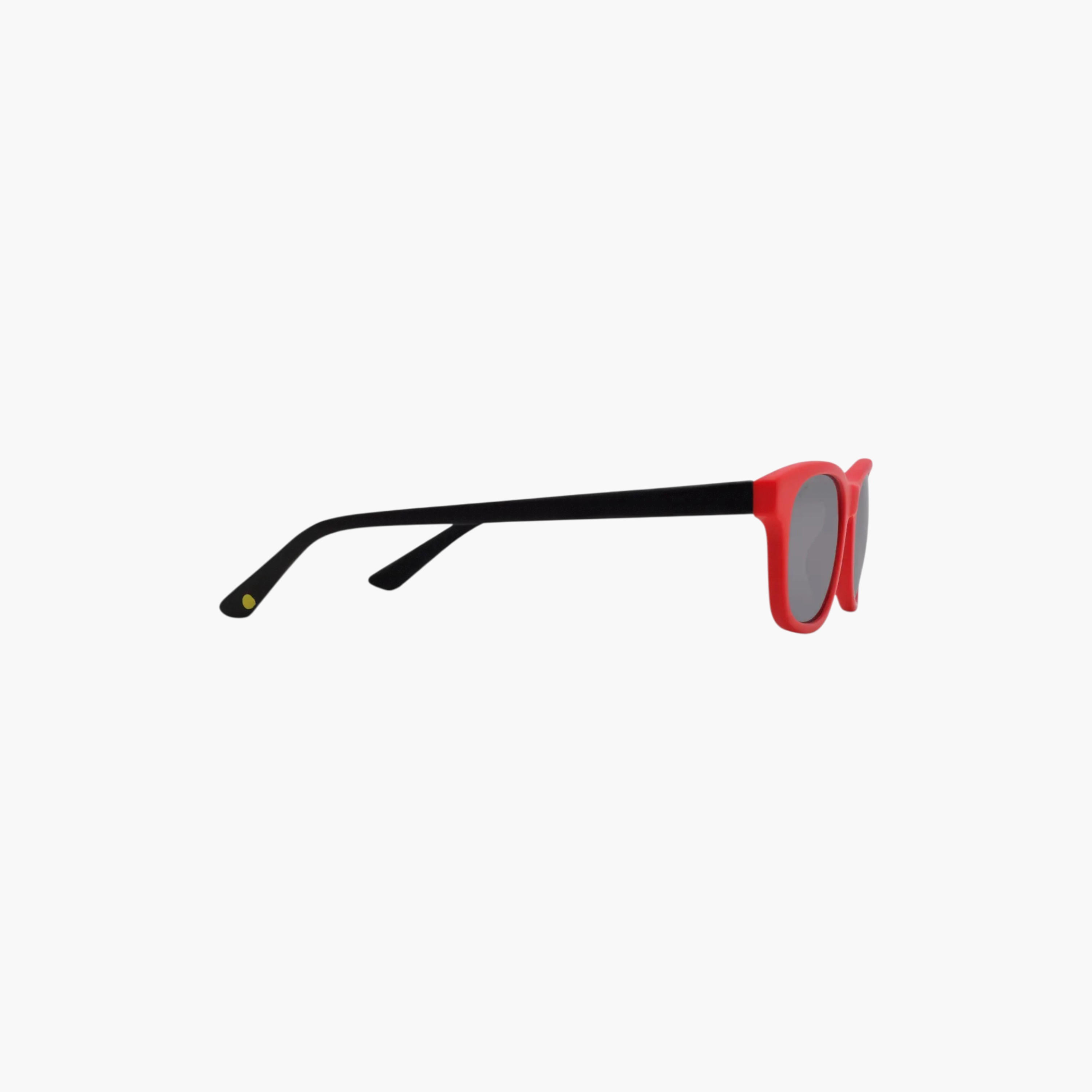 Eye'M Men's Sunglasses-men-sunglasses-image-3