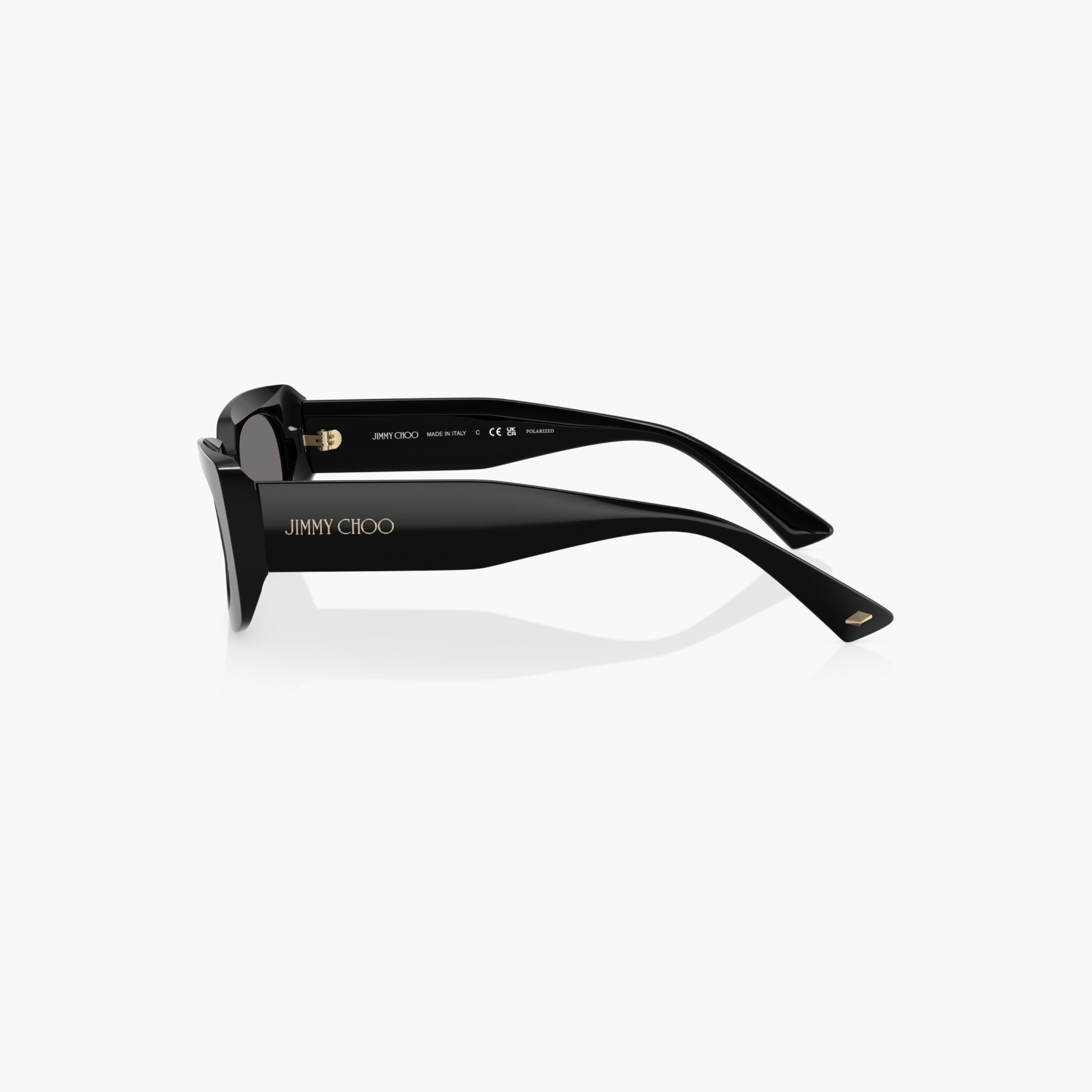 Jimmy Choo Tinted Lens Full Rim Sunglasses-women-sunglasses-image-3