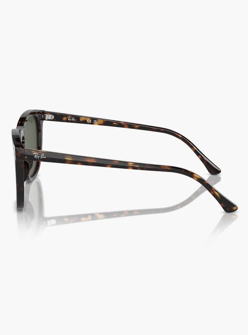 Ray-Ban Havana Printed Frame Sunglasses-men-sunglasses-image-3