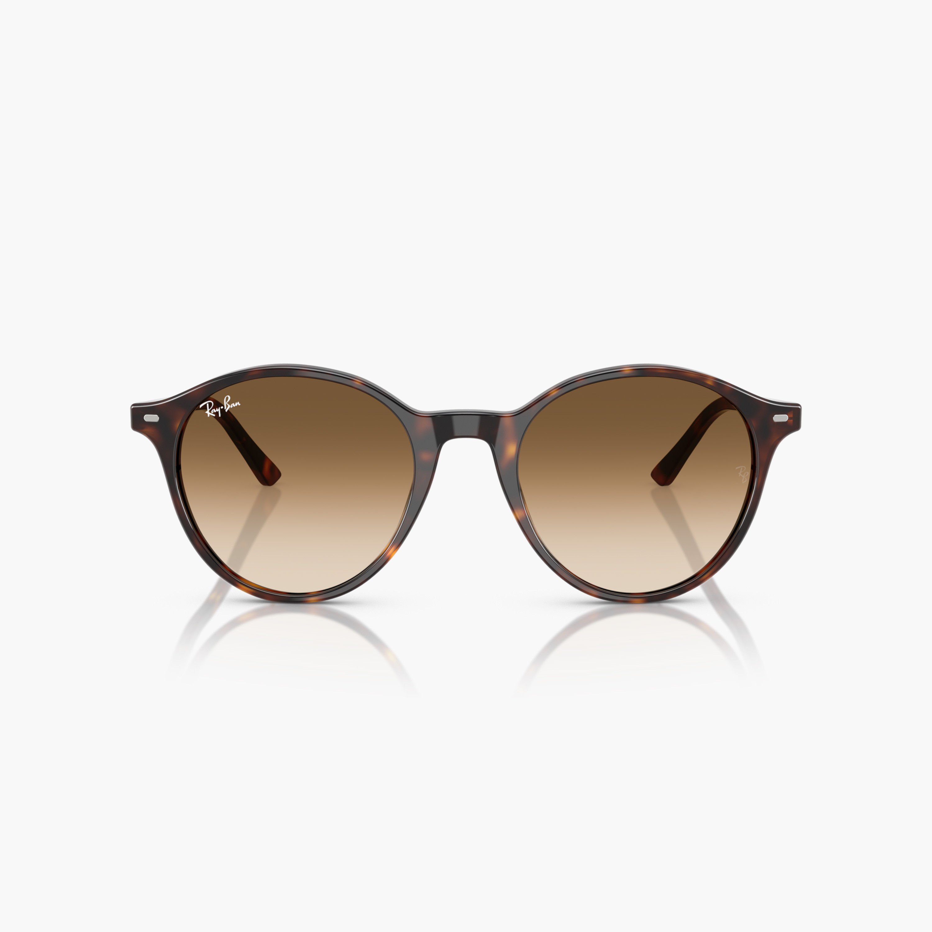 Ray-Ban Havana Printed Frame Sunglasses-men-sunglasses-image-1