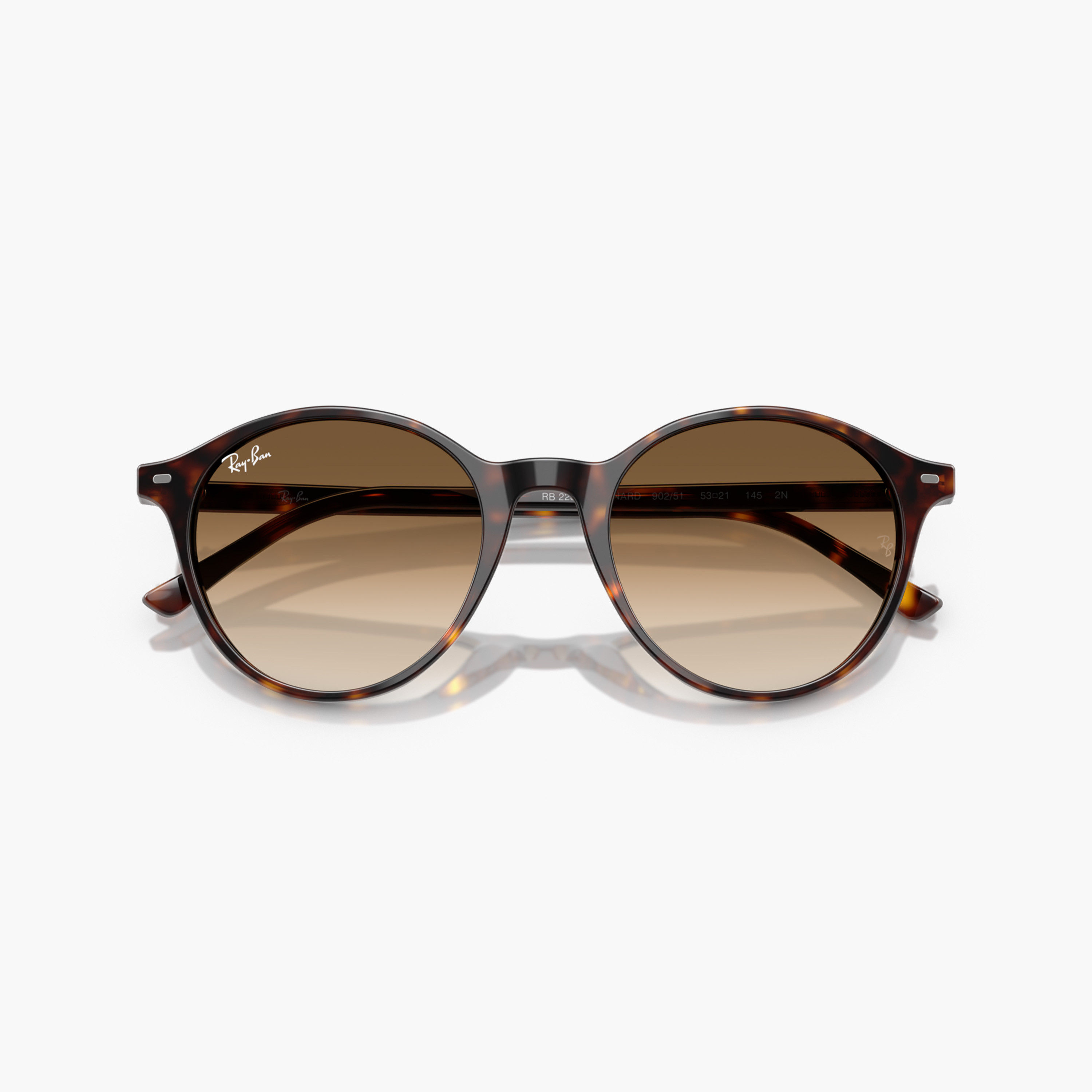 Ray-Ban Havana Printed Frame Sunglasses-men-sunglasses-image-6