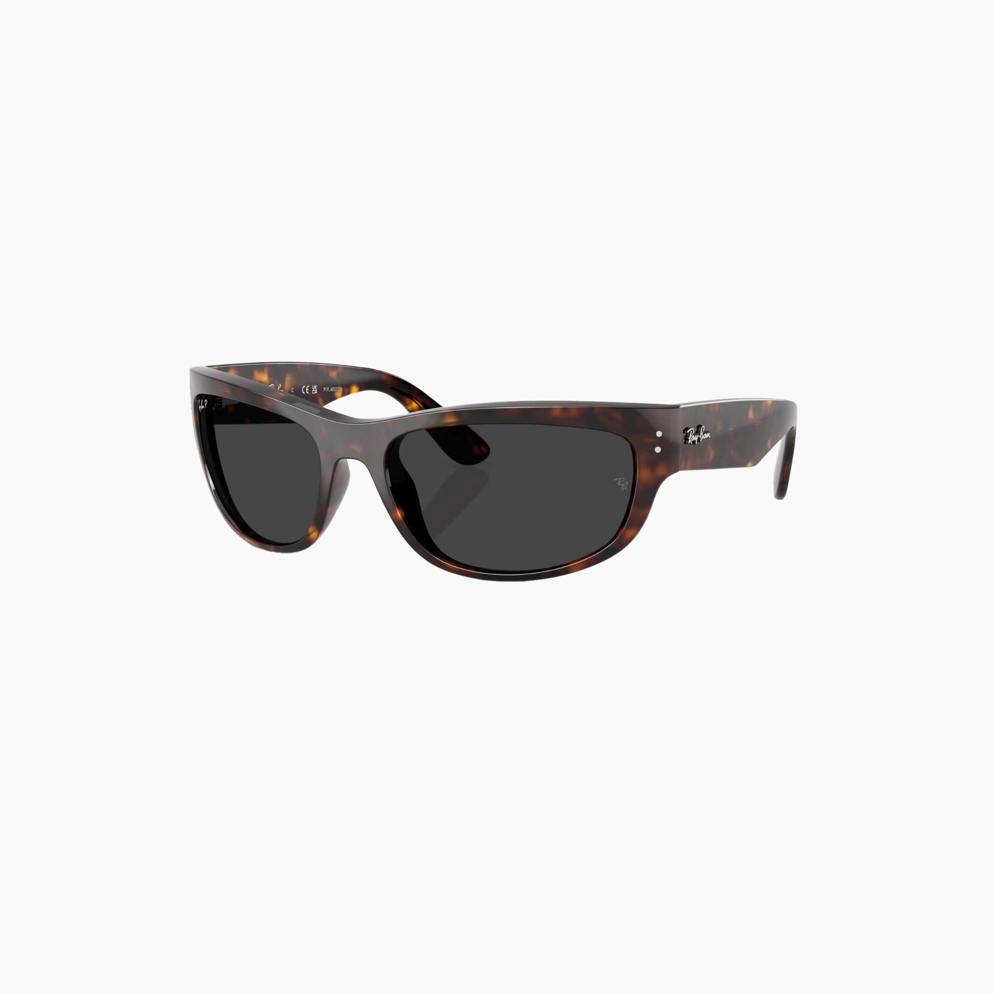 Ray-Ban Rectangle Black Lens Sunglasses-men-sunglasses-image-1