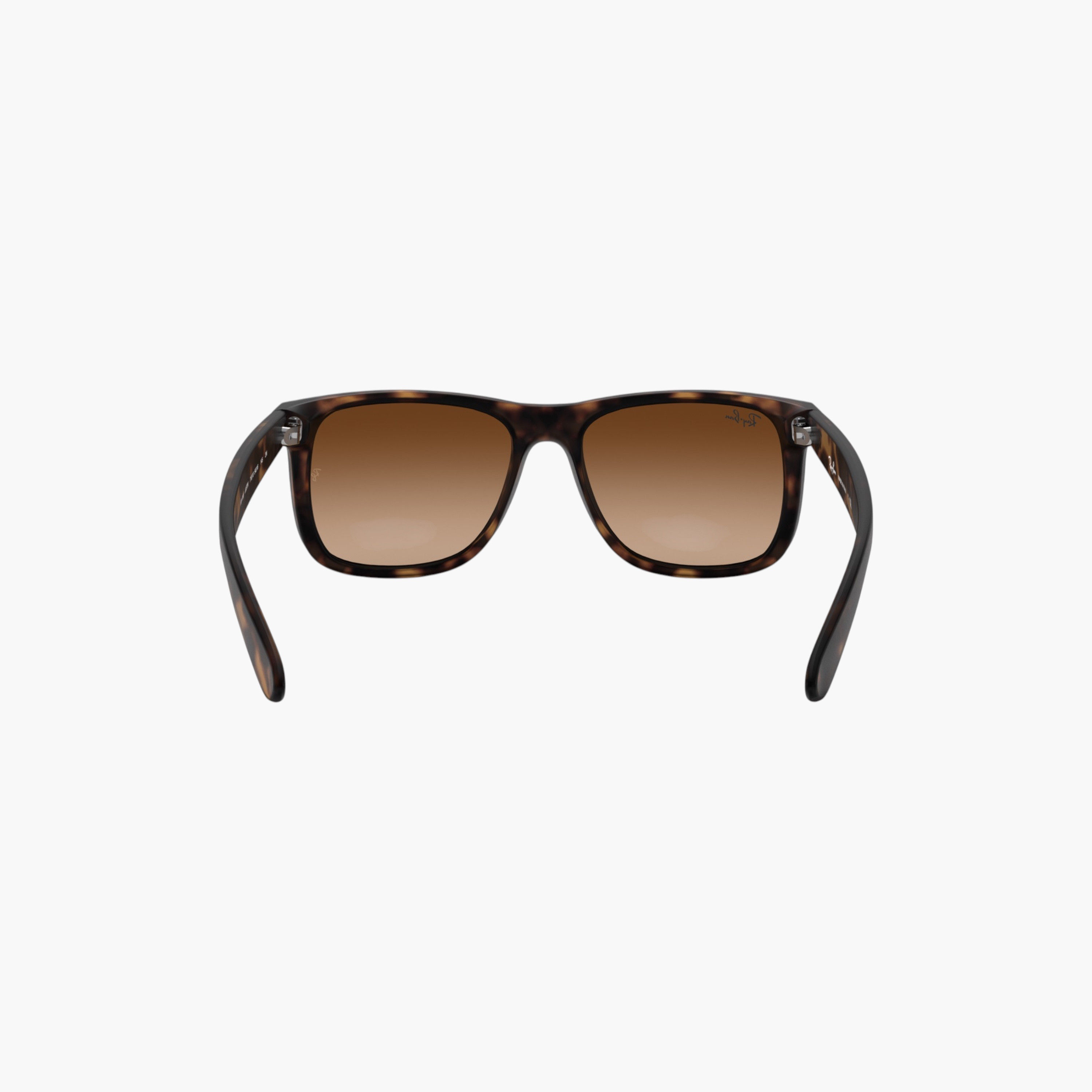 Ray-Ban Men Wayfarer Brown Lens Sunglasses-men-sunglasses-image-4