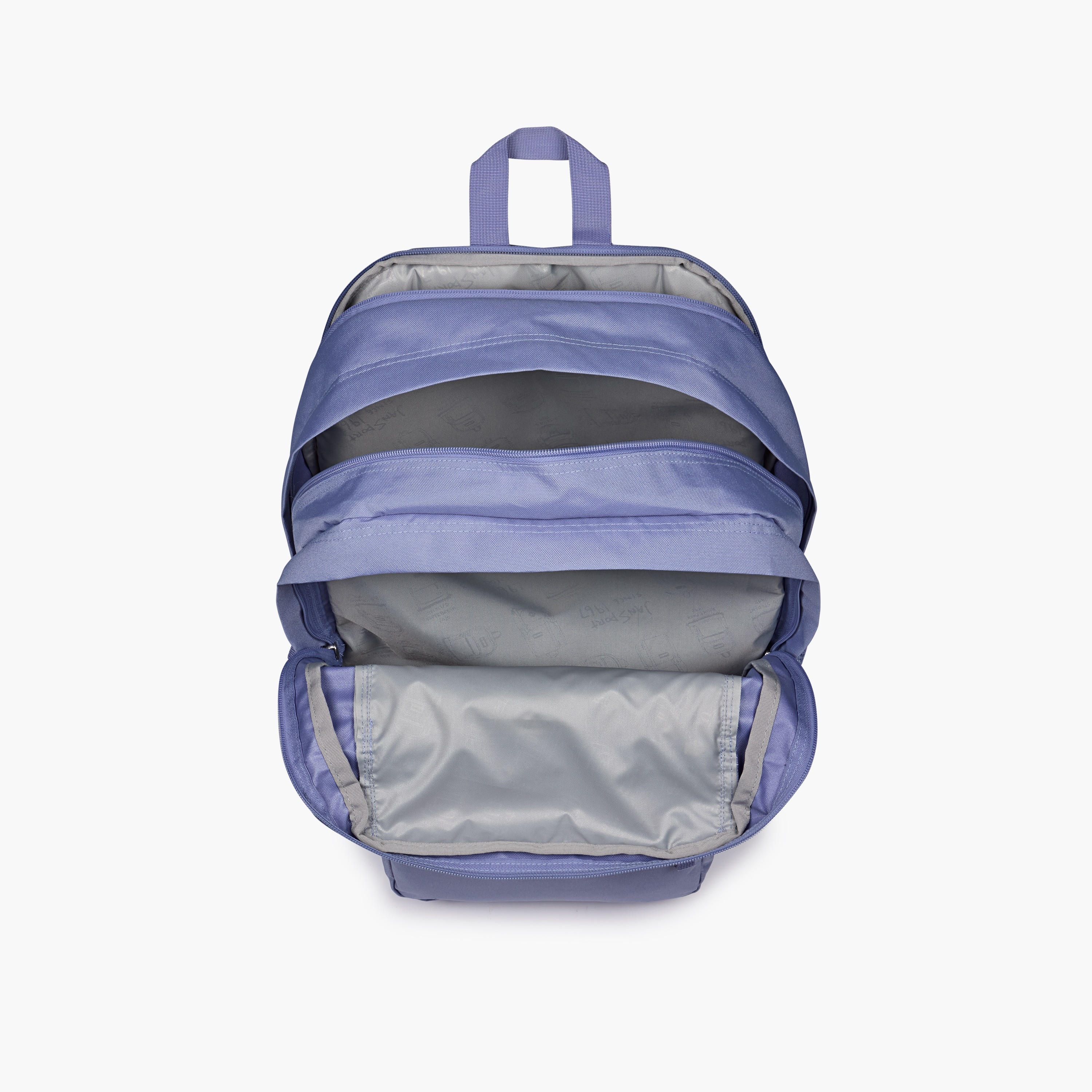 شنطة ظهر سادة بحمّالات قابلة للتعديل وسحاب إغلاق من جانسبورت - 19x33x44 سم-school-bagsandbackpacks-backpacks-image-7