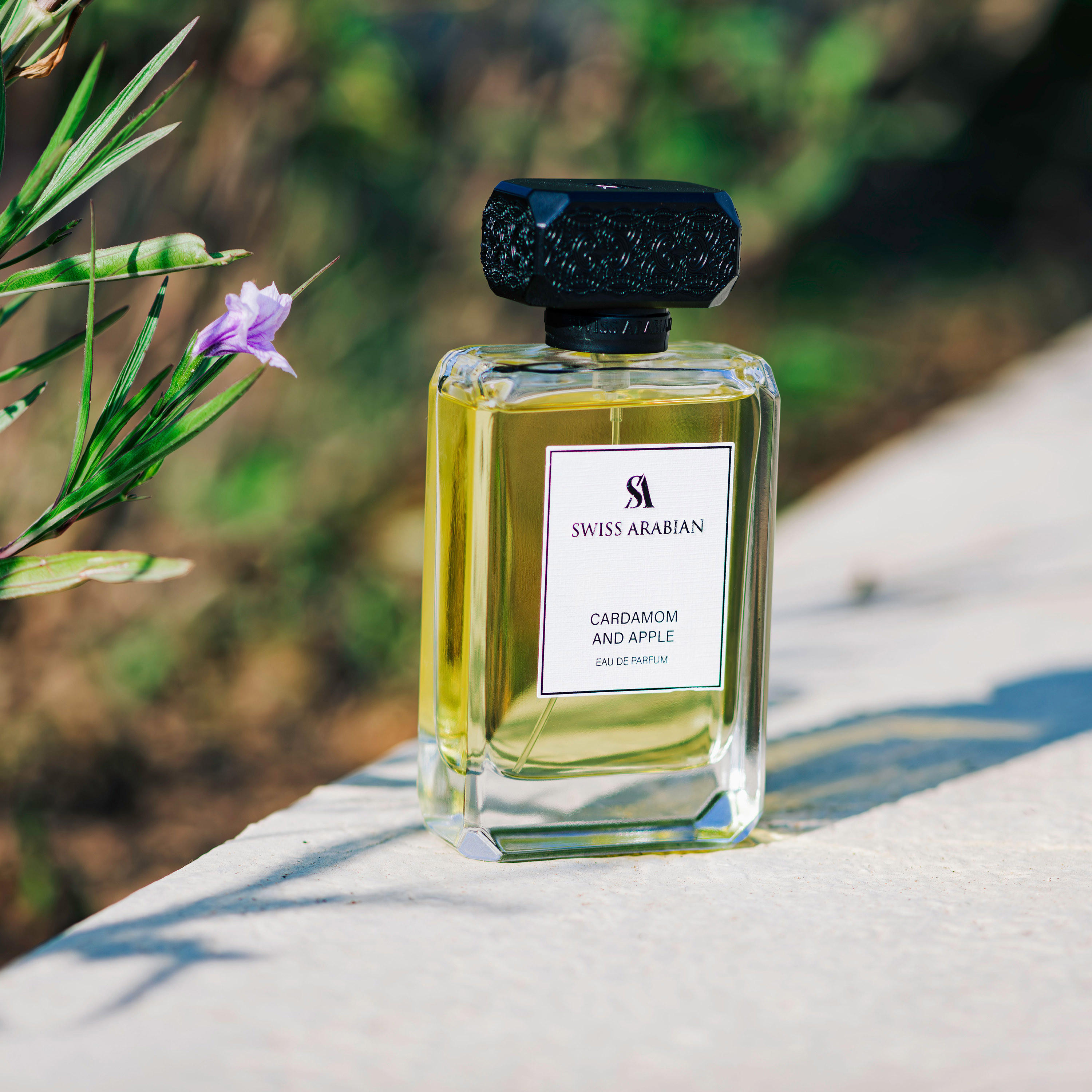 Swiss Arabian Cardamom and Apple Eau de Parfum for Men - 100 ml-beautyandpersonalcare-fragrance-men-image-3