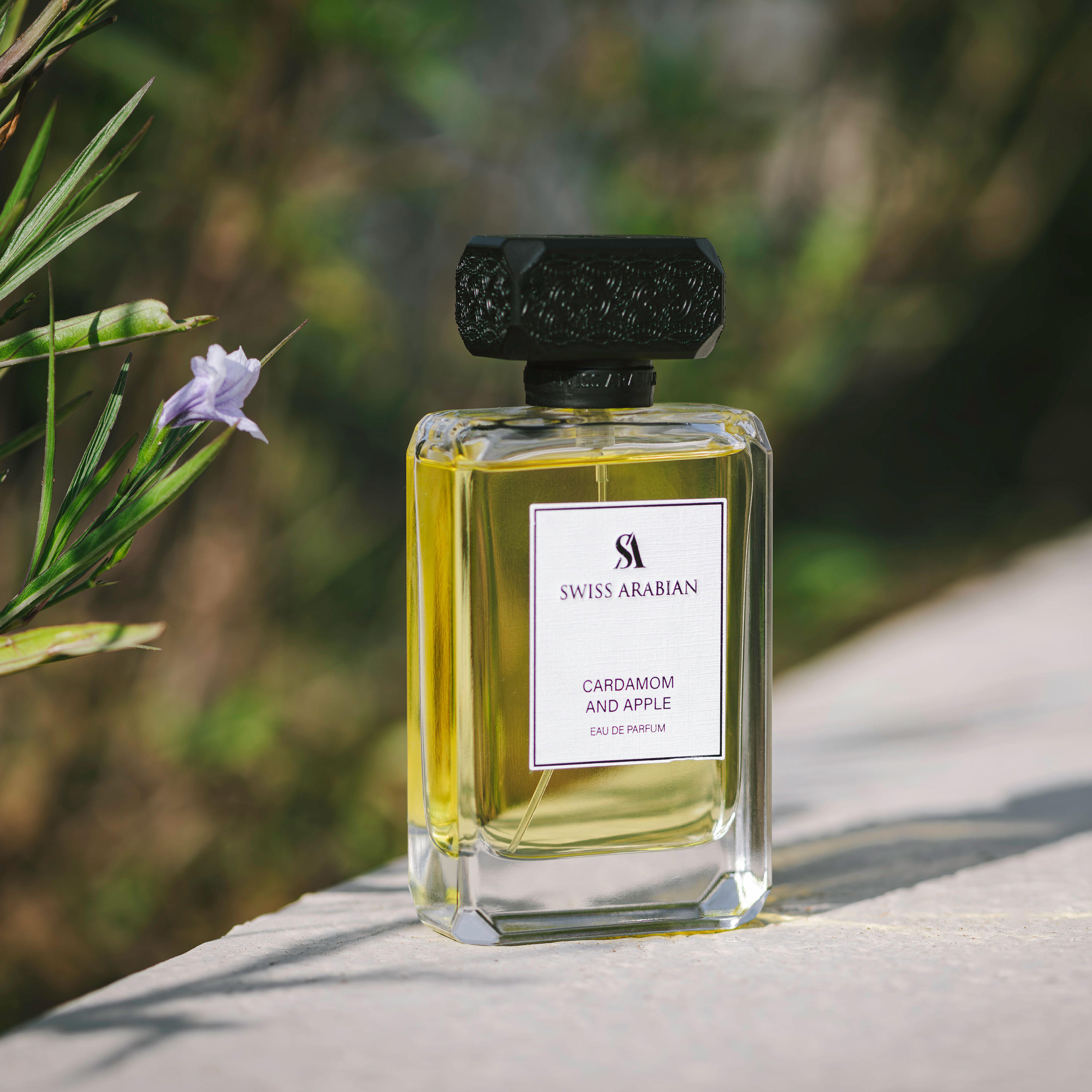 عطر أو دي برفان بالتفاح والهيل للرجال من سويس أربيان - 100 مل-beautyandpersonalcare-fragrance-men-image-4