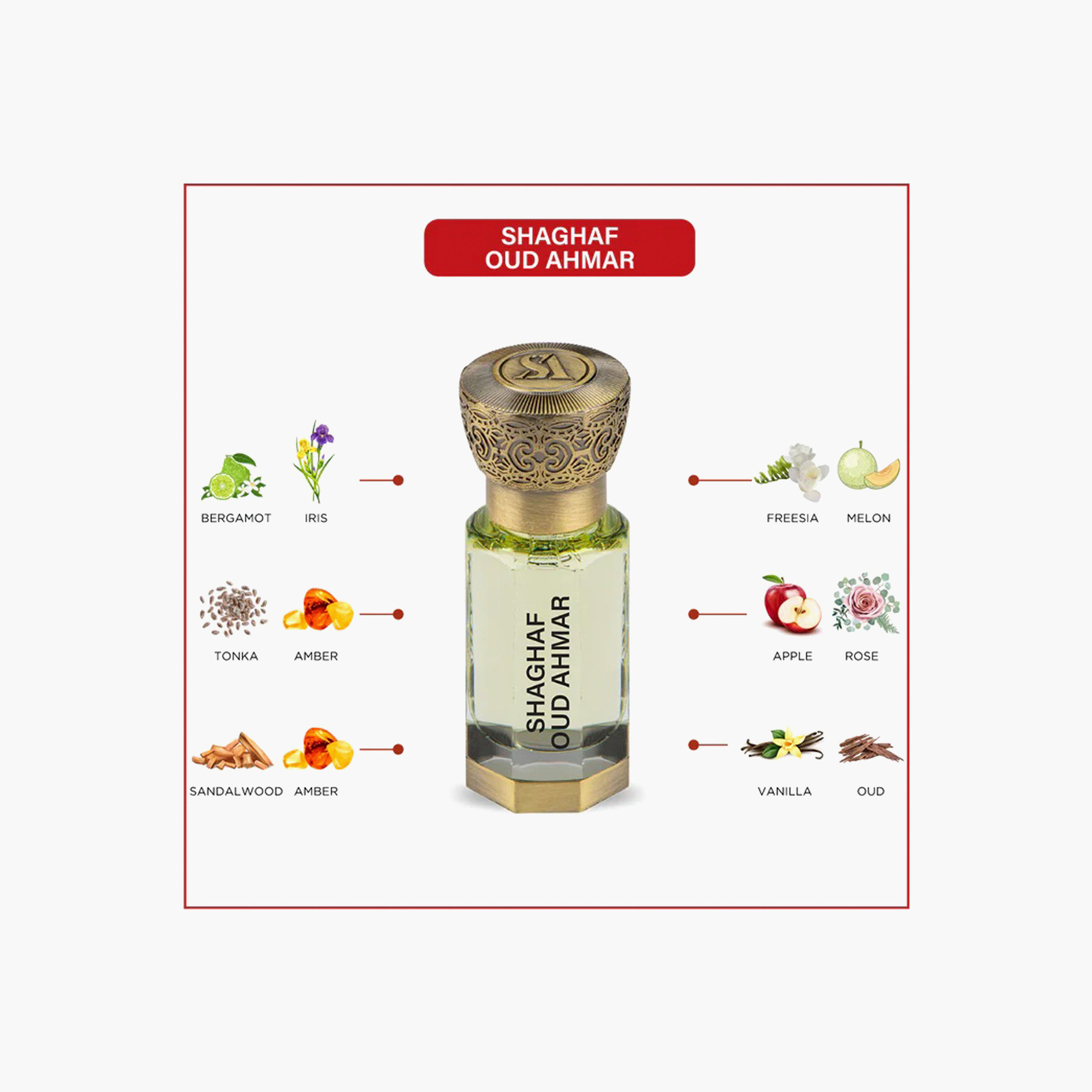 زيت عطري شغف عود أحمر من سويس أربيان - 12 مل-beautyandpersonalcare-fragrance-unisex-image-3