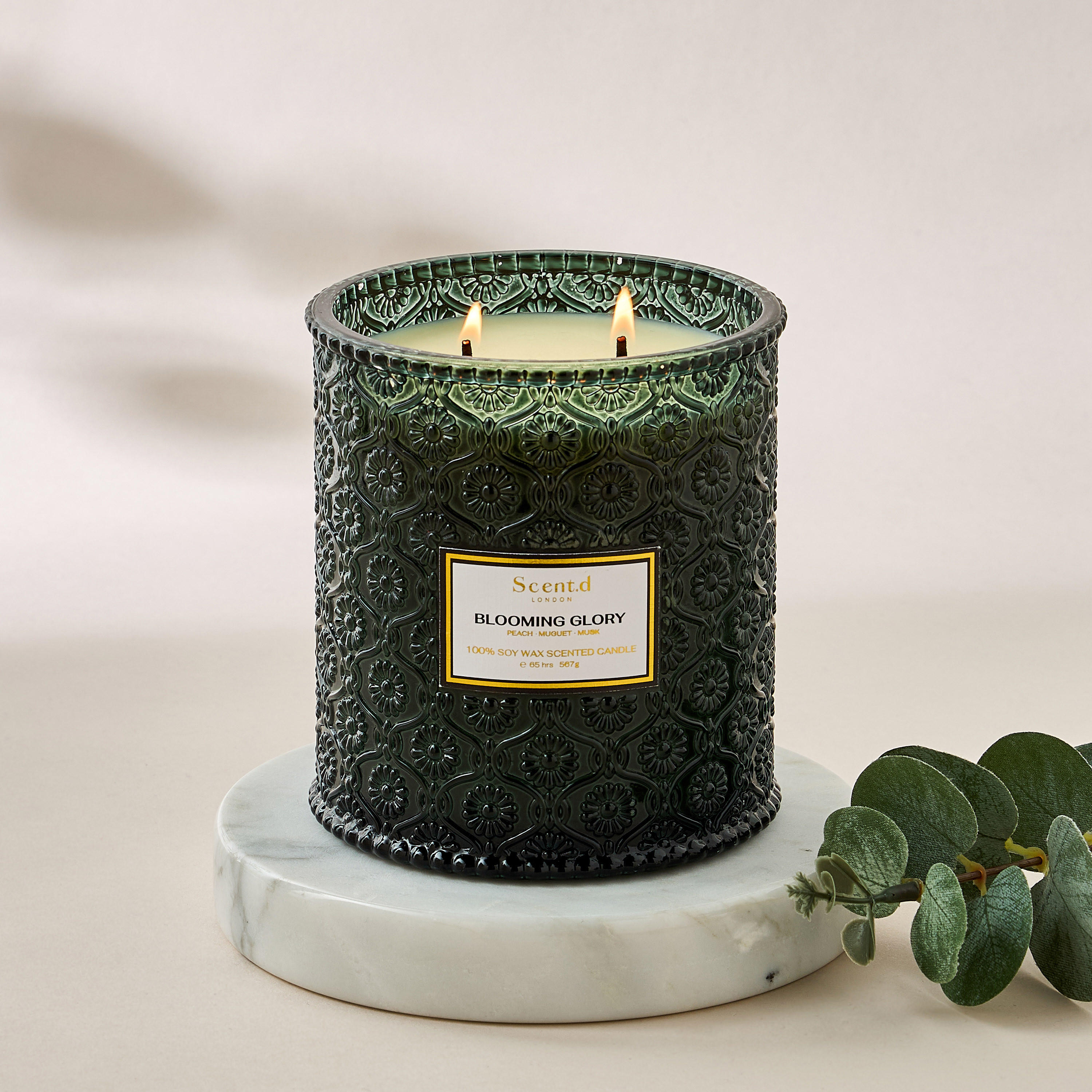 Scent.d London Fresh Cotton 2-Wick Jar Candle - 567 gms-household-homefragrance-candles-image-4