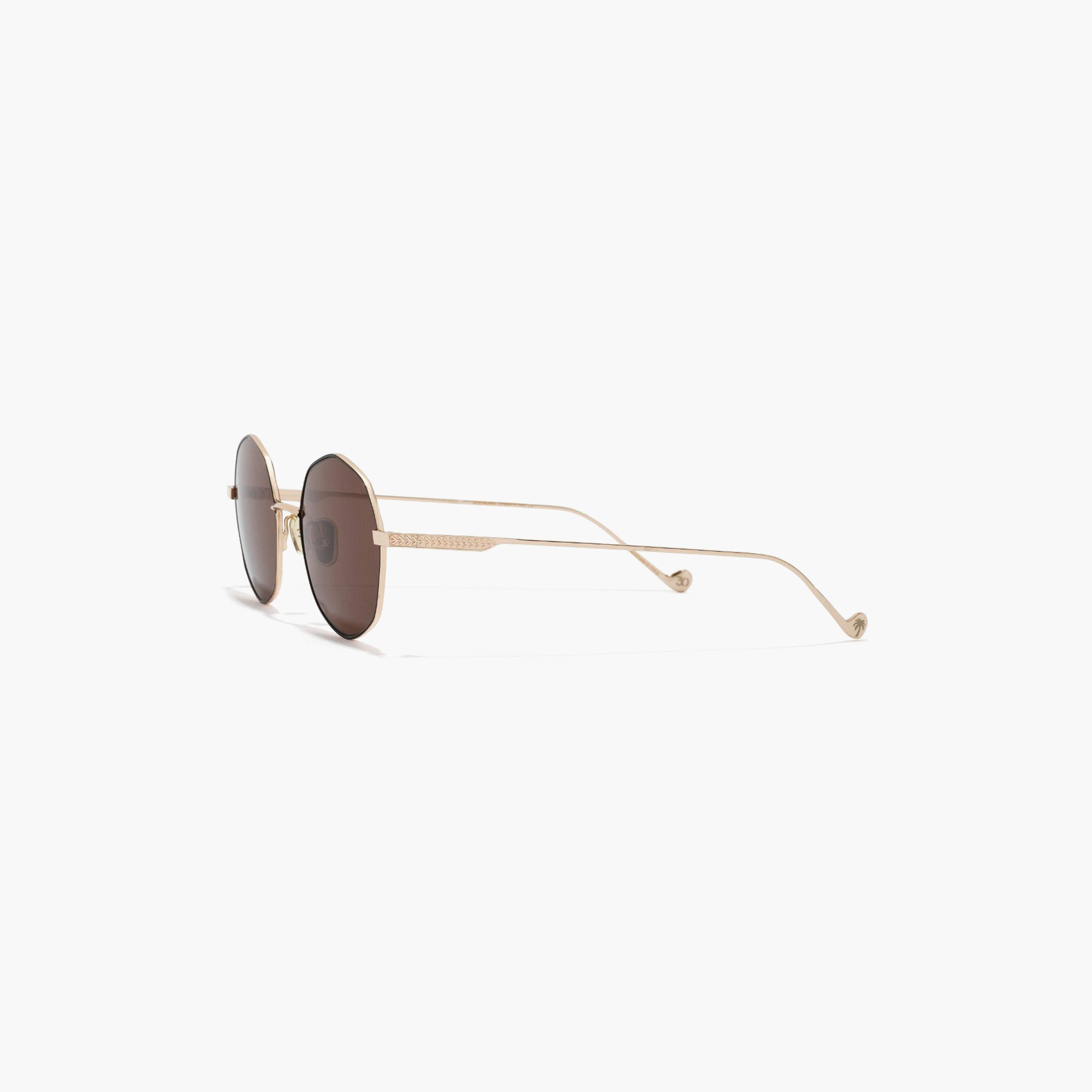 30Sundays Wadi 49 MM Brown Geometric Sunglasses | su102904-30s-000457-2904-49-men-sunglasses-image-4