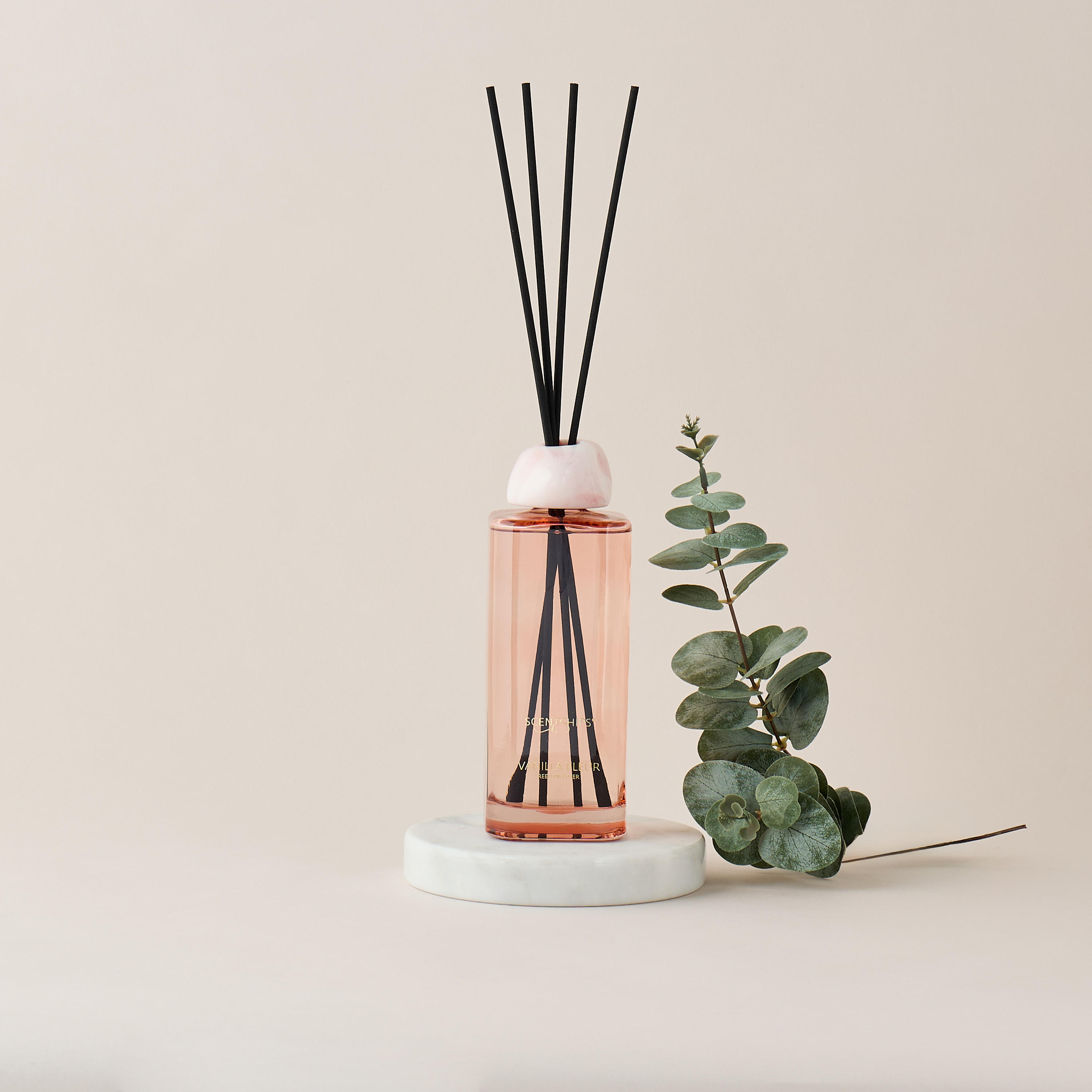 Scent.d London Sweet Vanilla Reed Diffuser - 500 ml-household-homefragrance-reeddiffusers-image-1