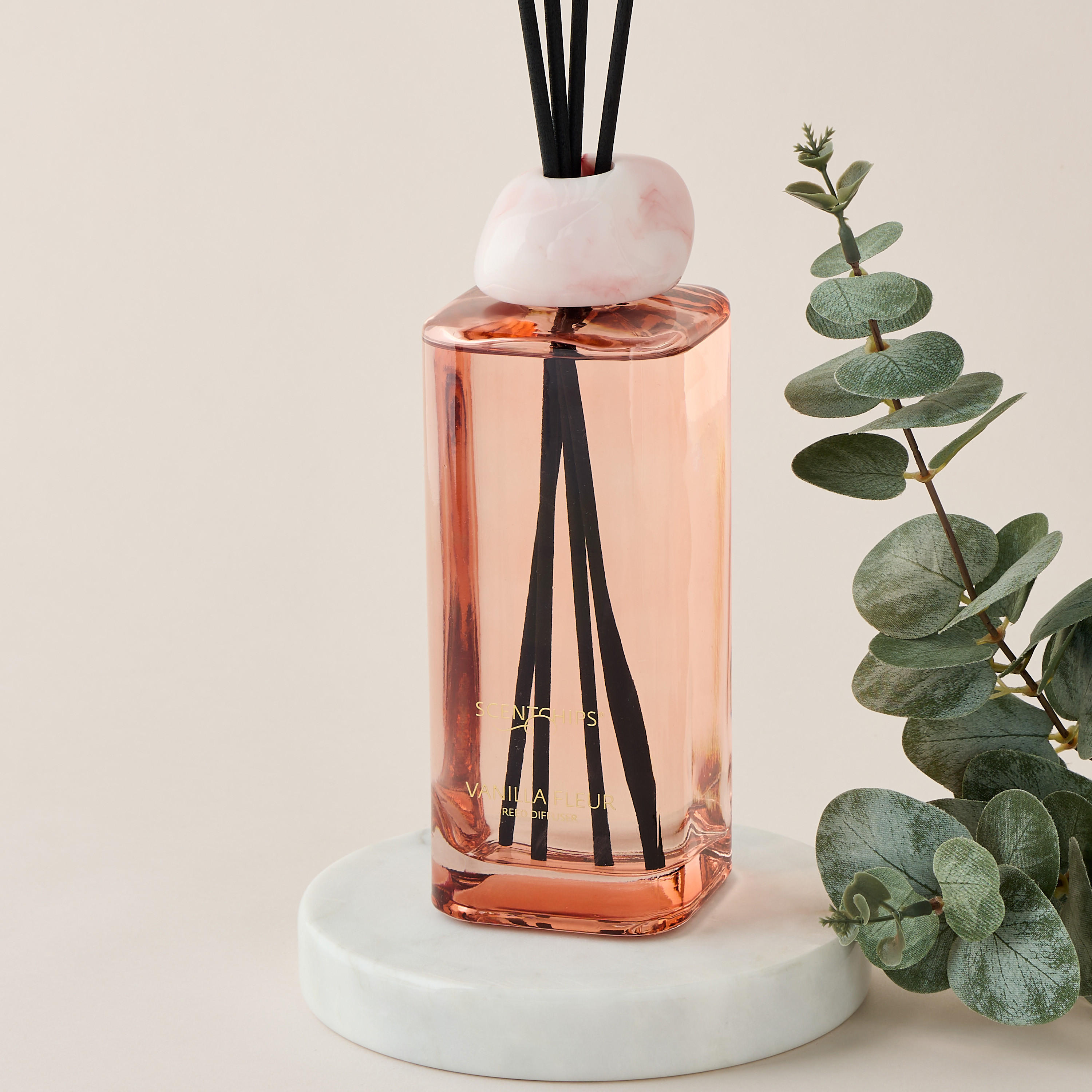 Scent.d London Sweet Vanilla Reed Diffuser - 500 ml-household-homefragrance-reeddiffusers-image-2