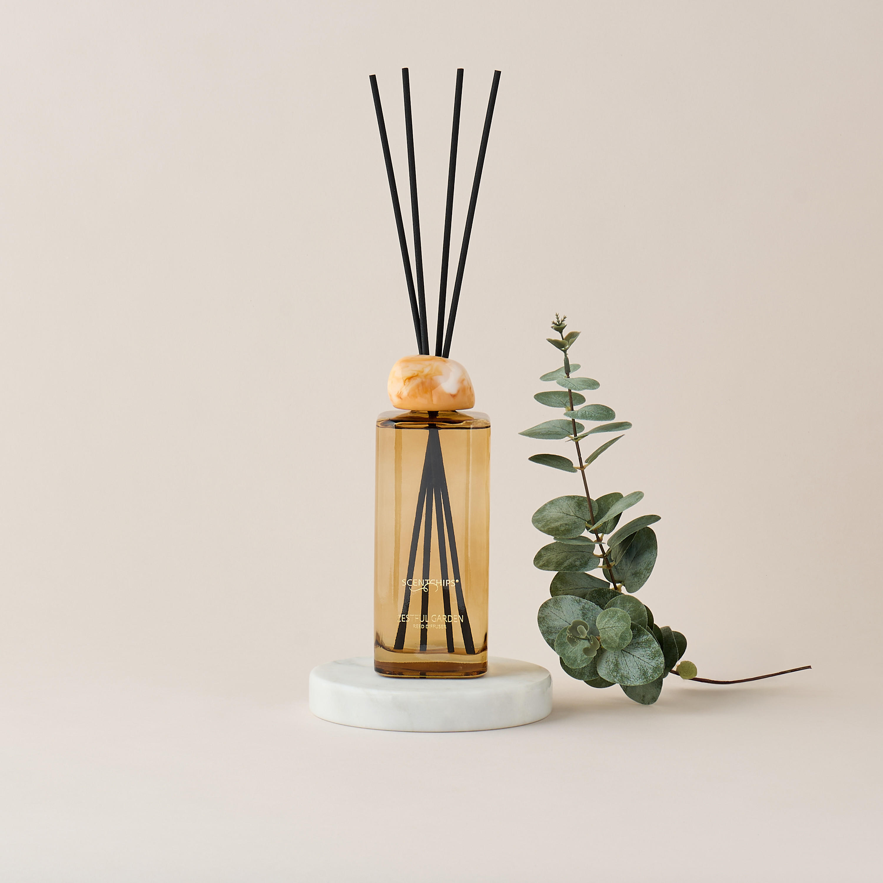 Scent.d London Sweet Vanilla Reed Diffuser - 500 ml-household-homefragrance-reeddiffusers-image-1