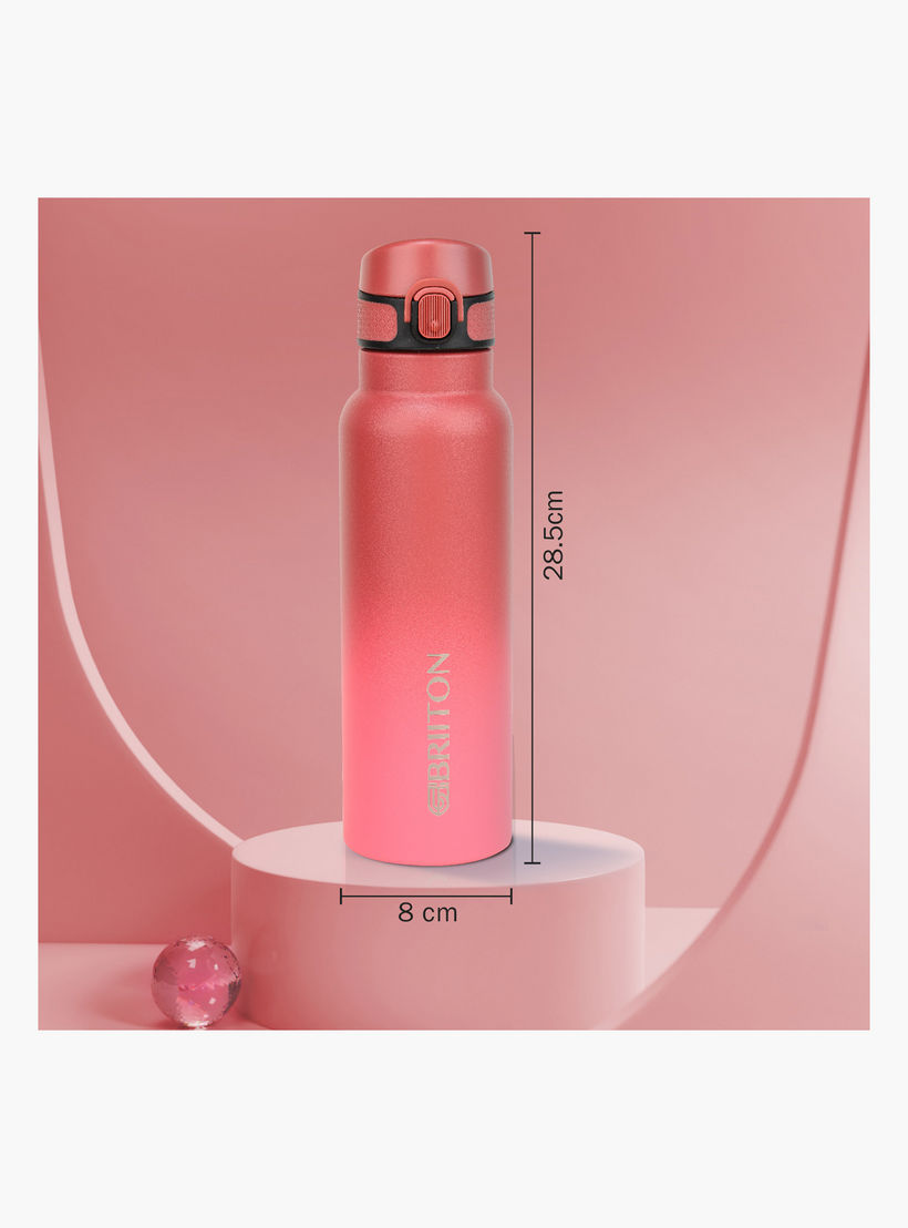 Briiton Ombre Insulated Stainless Steel Water Bottle - 750 ml-household-dining-drinkserveware-bottles-image-3