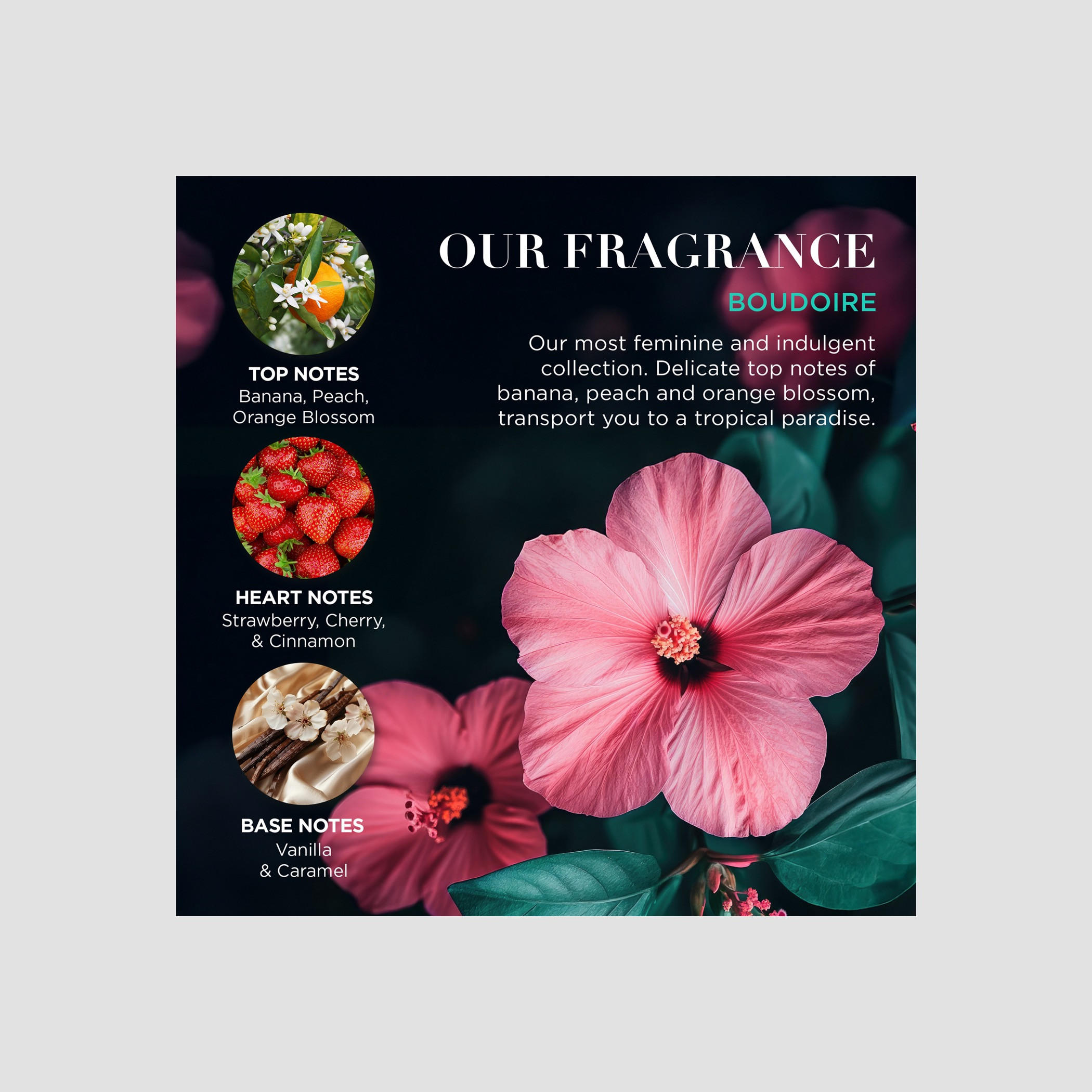 Baylis & Harding Tropical Paradise Bathing Gift Set-beautyandpersonalcare-giftsets-image-5