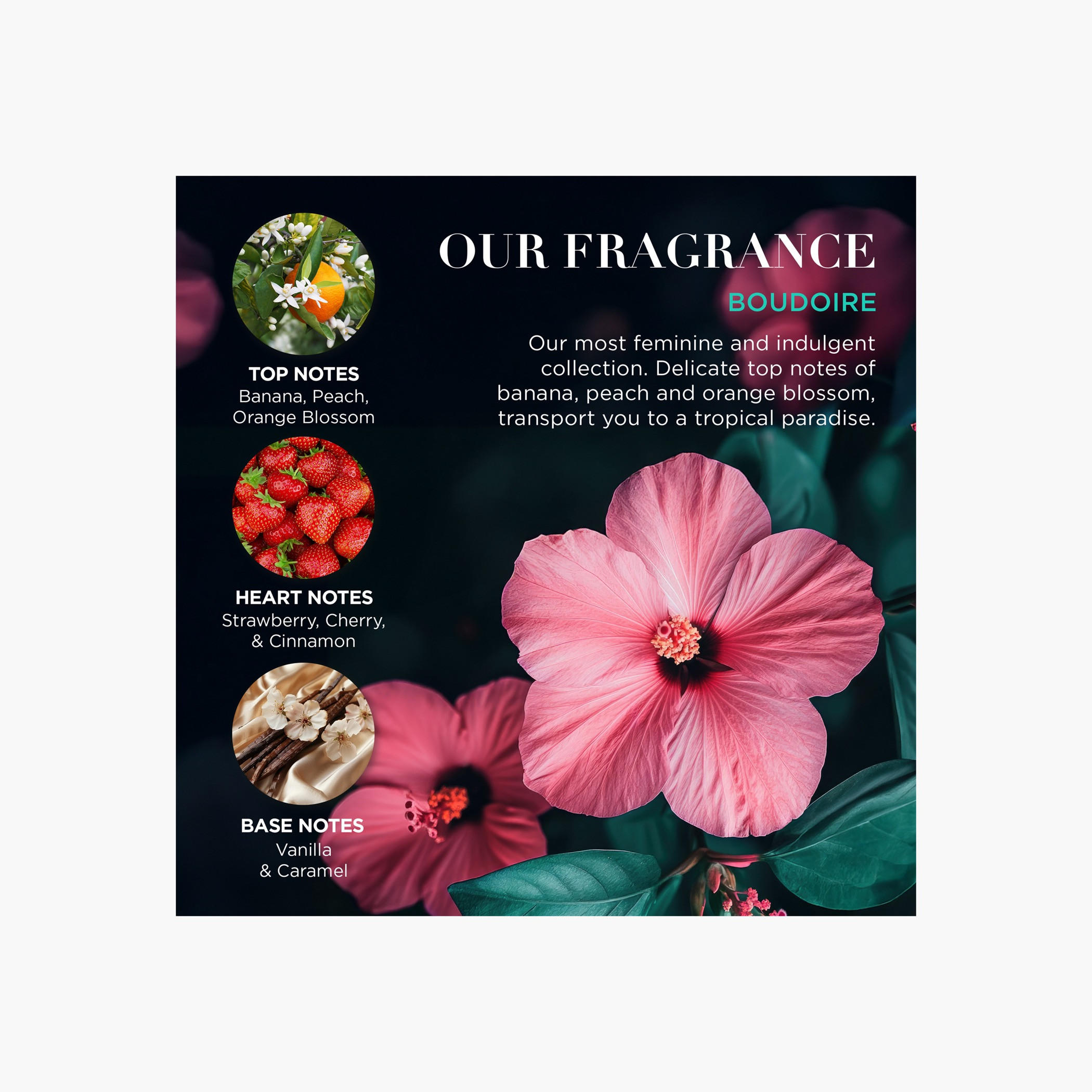 Baylis & Harding Tropical Paradise Pamper Gift Set-beautyandpersonalcare-giftsets-image-5