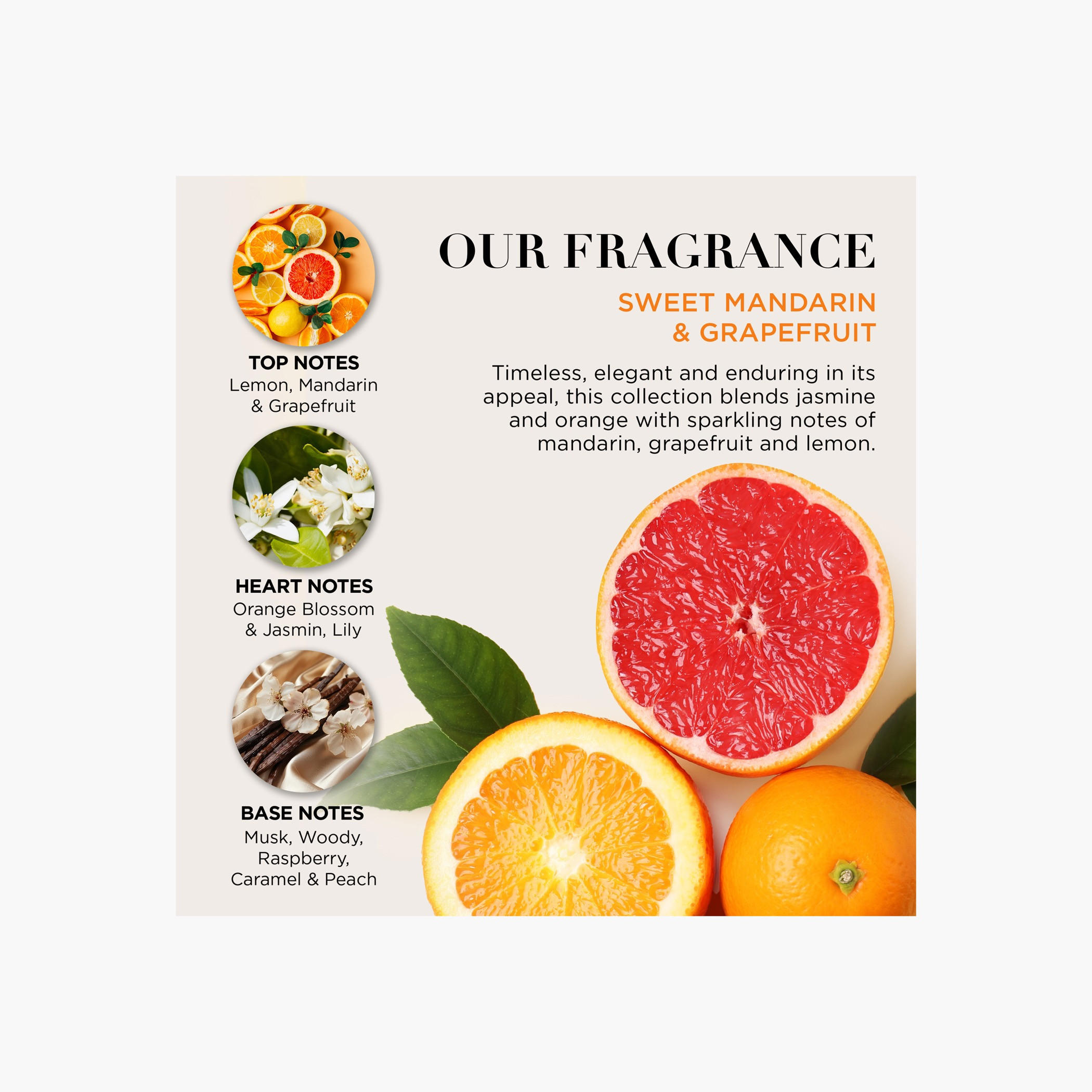 مجموعة العناية باليوسفي والجريب فروت من بايلس أند هاردينج-beautyandpersonalcare-giftsets-image-5