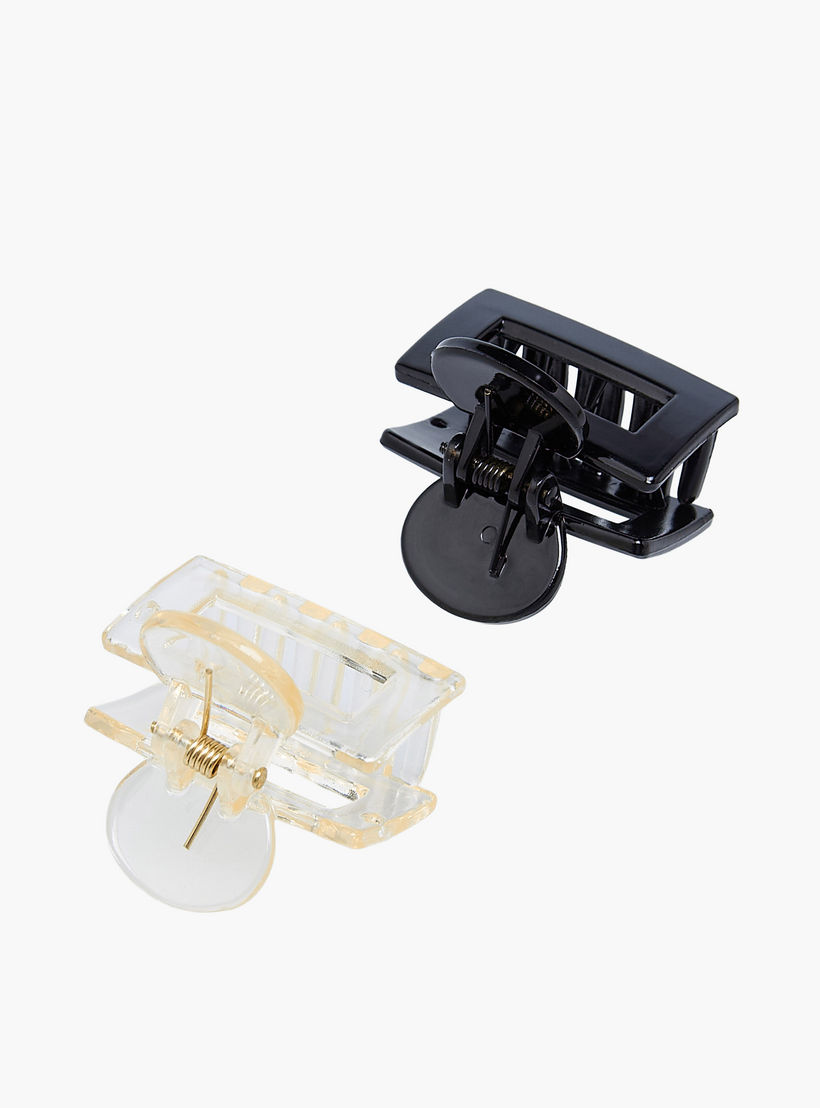 Pack of 2 Assorted Hair Clamp-women-hairaccessories-clamps-image-4