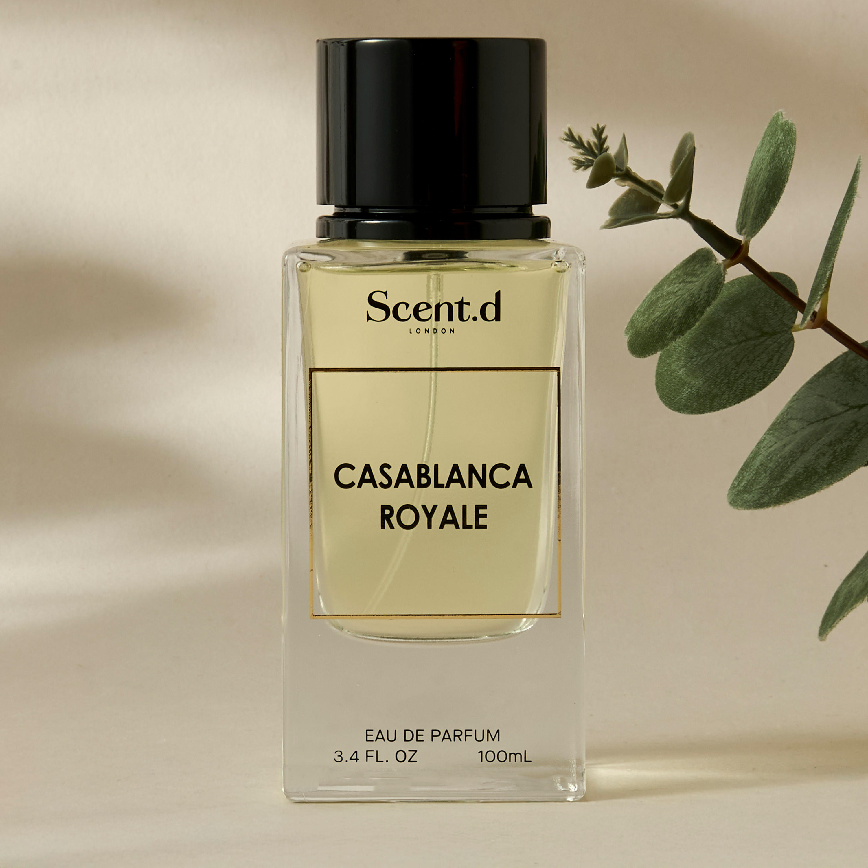 Scent.d London Casablanca Royale Eau de Parfum - 100 ml-beautyandpersonalcare-fragrance-unisex-image-1