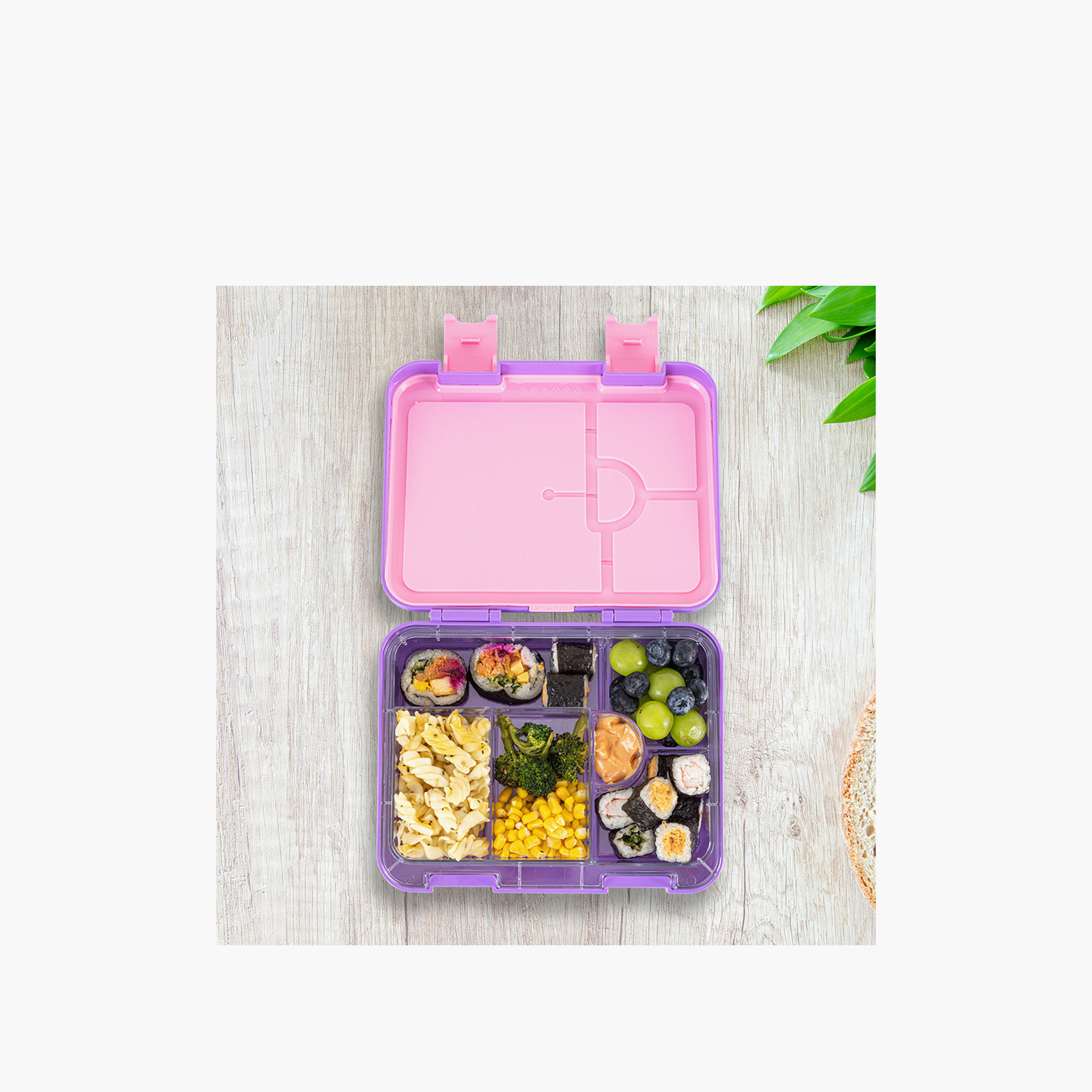 صندوق غداء بينتو للأطفال بطبعات فراشة مع حجرات قابلة للتحويل من إيزي كيدز-school-lunchessentials-lunchboxes-image-3