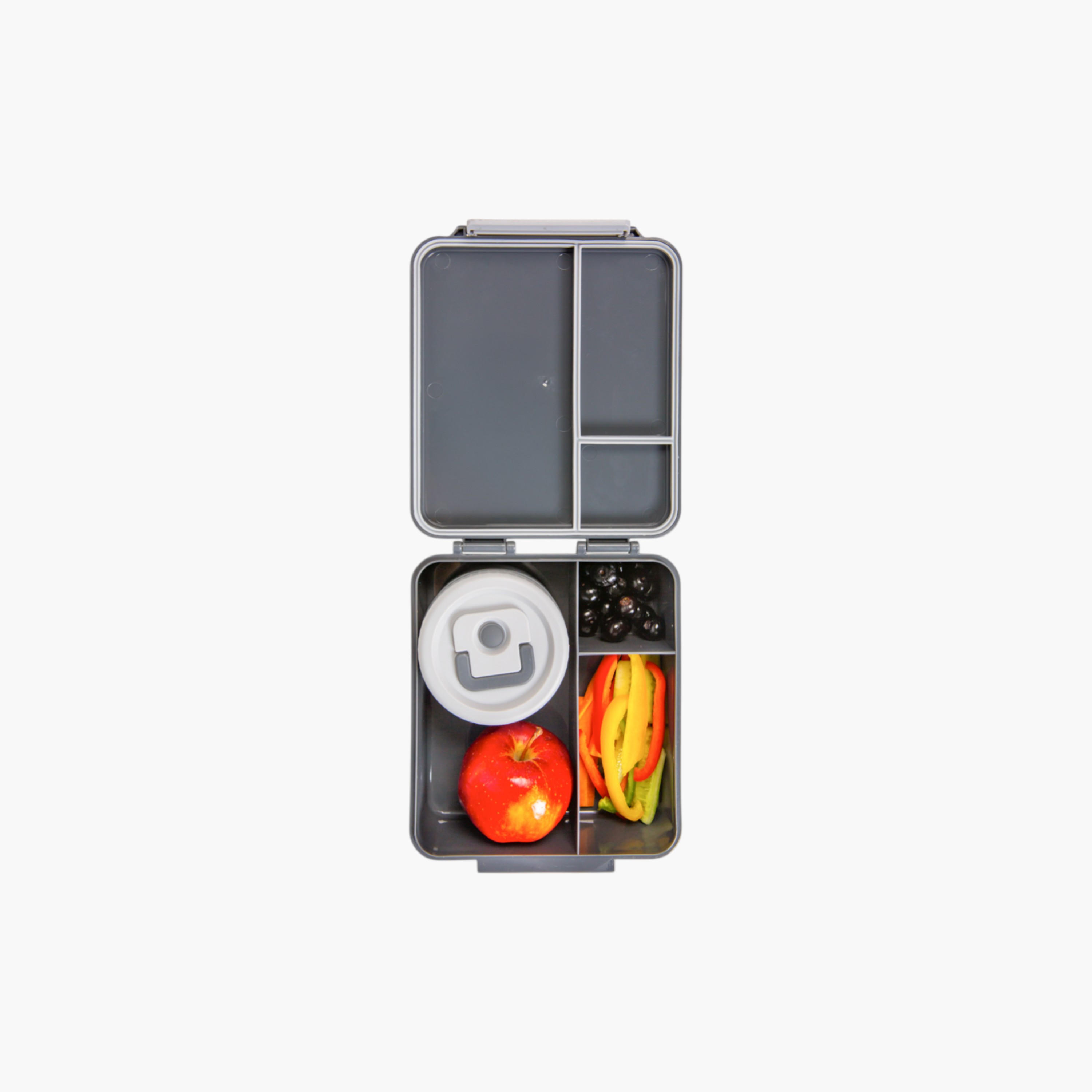 Hydrobrew Dinosaur Print Bento Lunch Box with Steel Food Jar-school-lunchessentials-lunchboxes-image-11