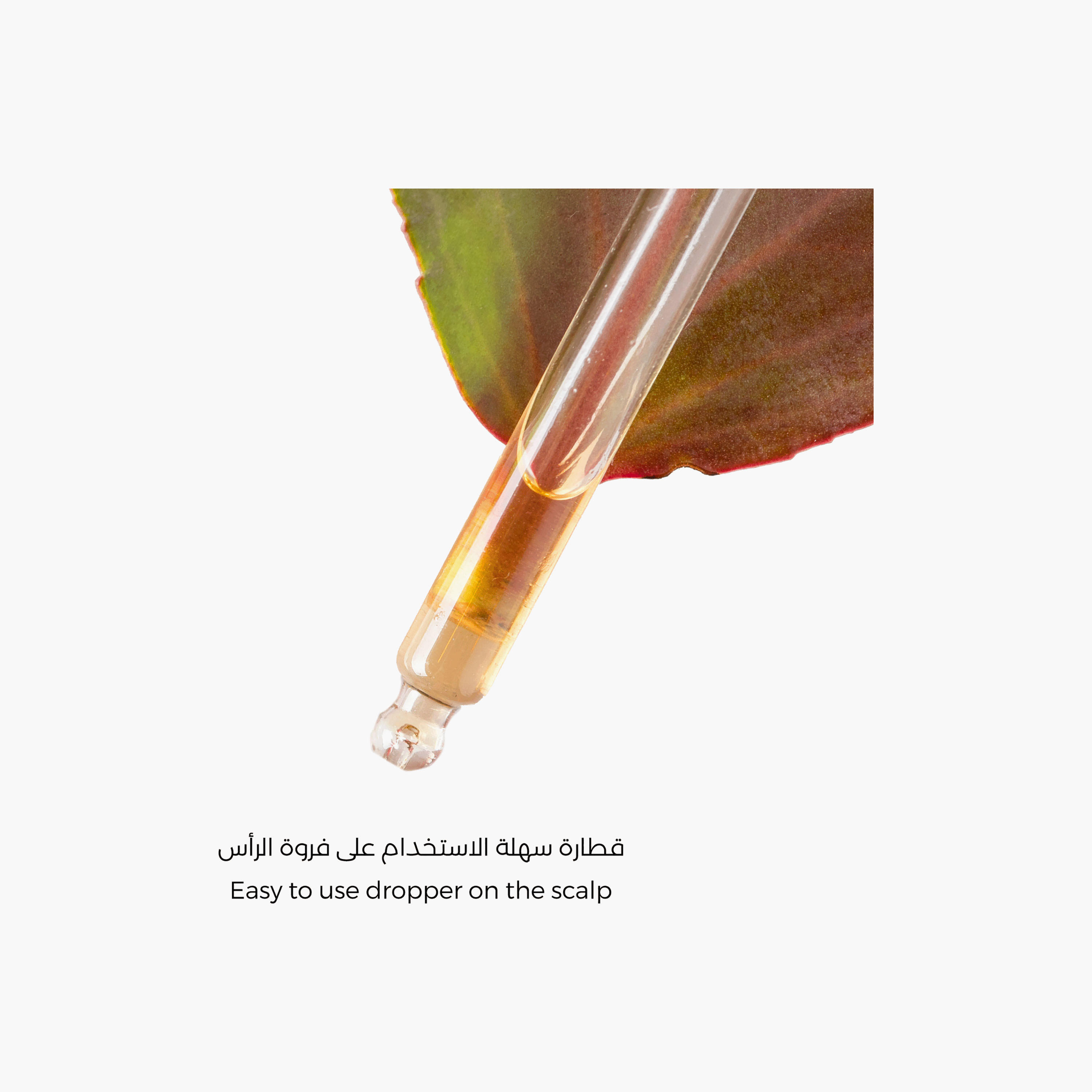 زيت مغذٍ للشعر بخلاصة زيت بذور العنب من لابيل - 60 مل-beautyandpersonalcare-hair-haircare-hairoils-image-3