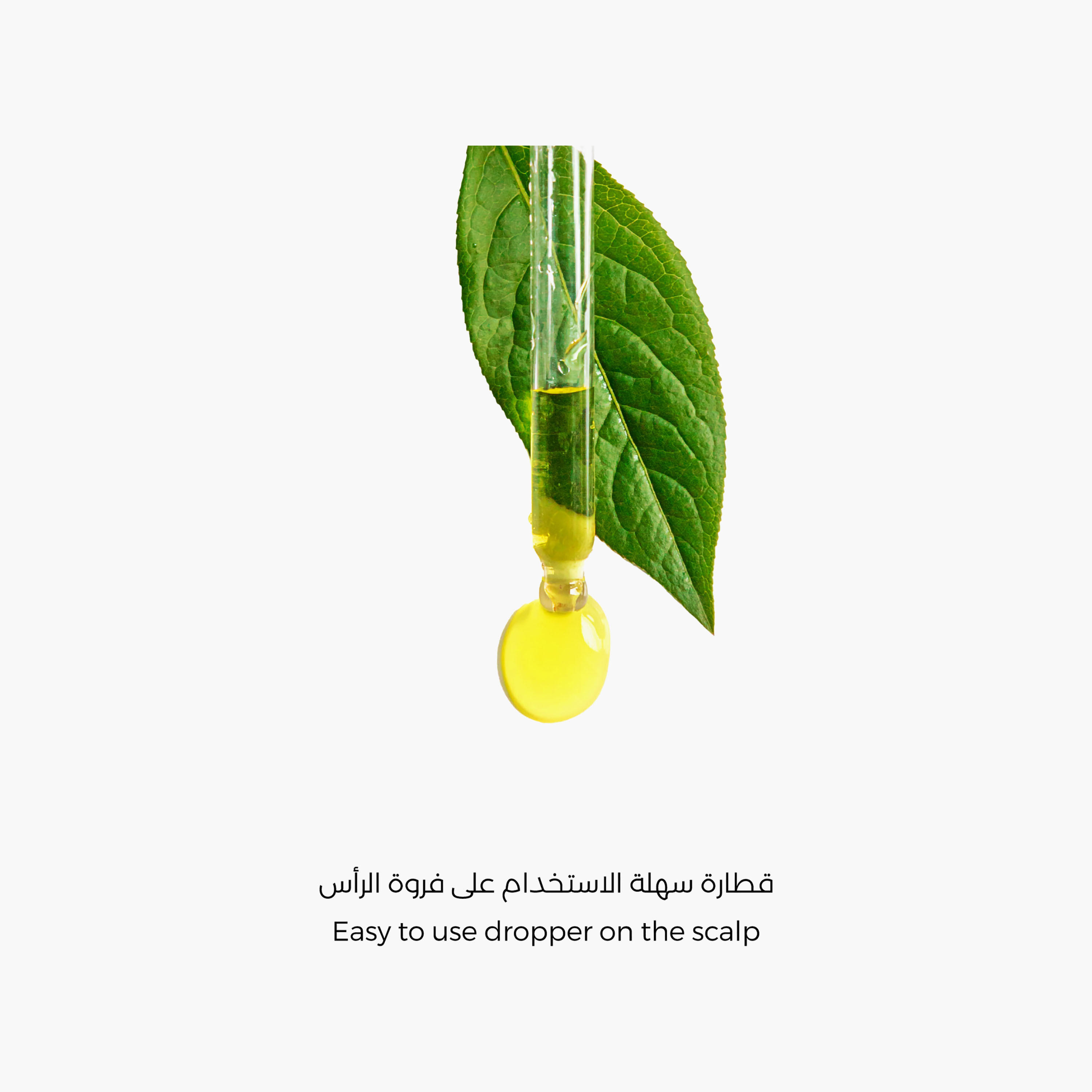 زيت منعش للشعر وفروة الرأس بخلاصة زيت شجرة الشاي من لابيل - 60 مل-beautyandpersonalcare-hair-haircare-hairoils-image-4