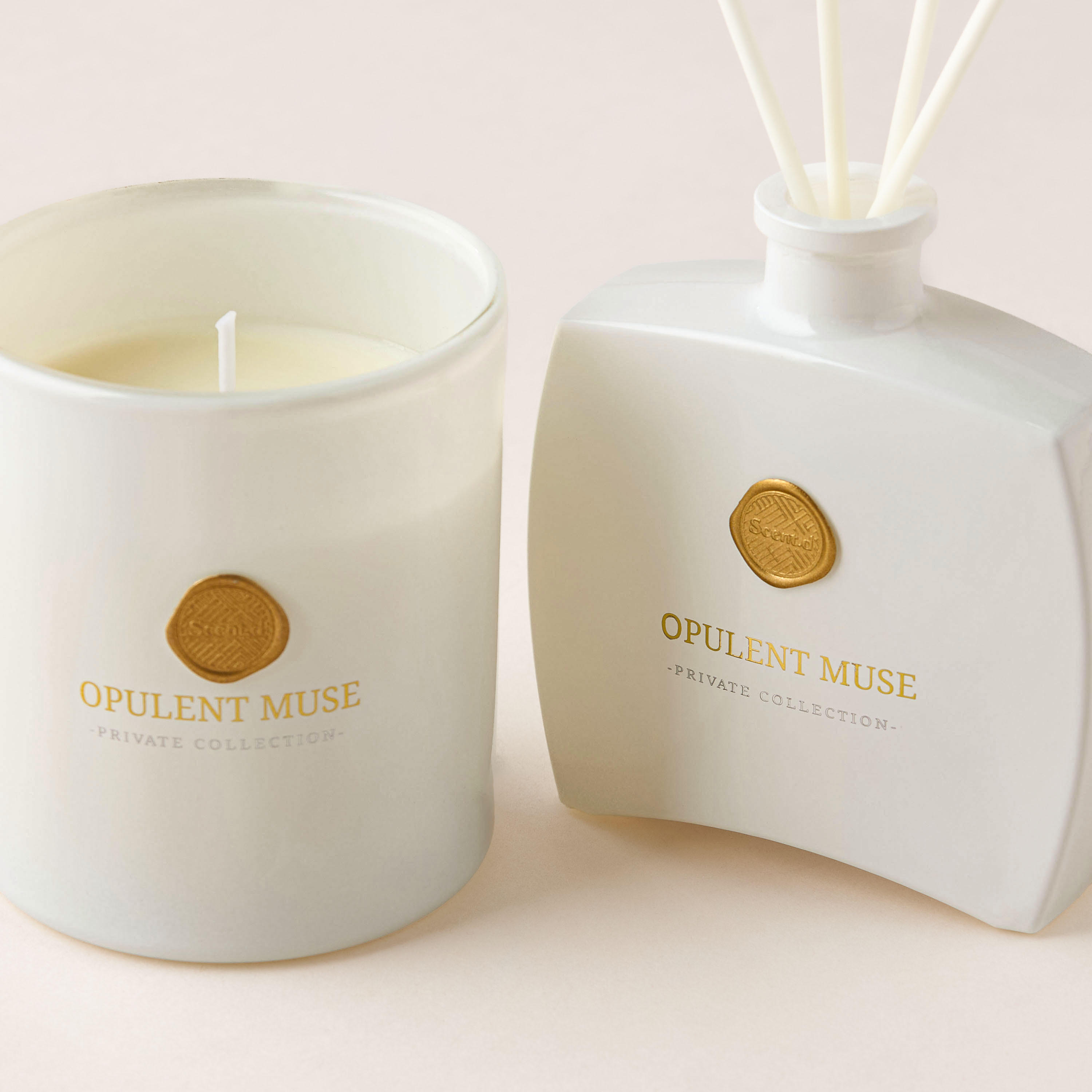 طقم هدايا قطعتين برائحة العنبر الأسود من سنت دي لندن-household-homefragrance-fragrancegiftset-image-4
