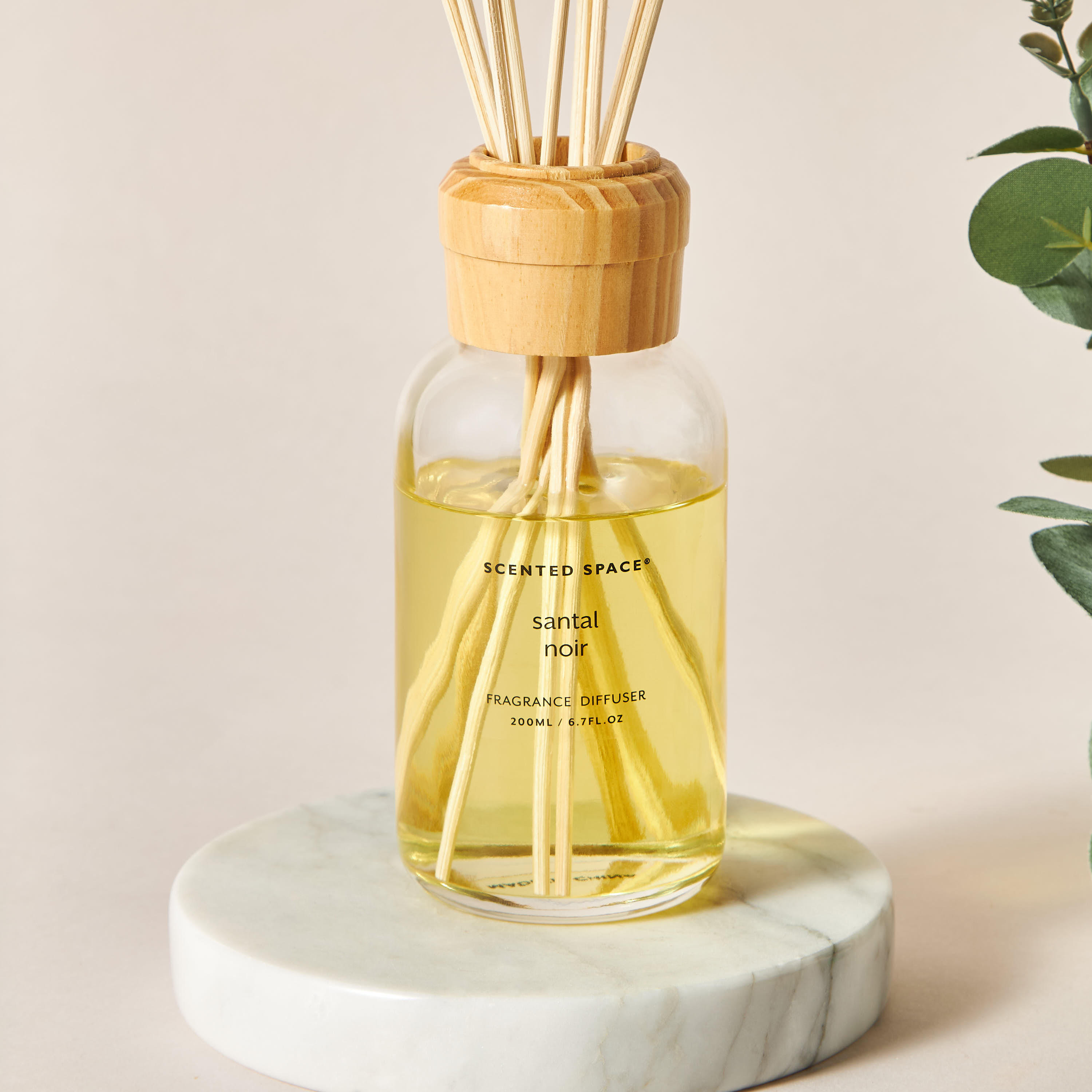 Scented Space Amberian Woods Reed Diffuser - 200 ml-household-homefragrance-reeddiffusers-image-2