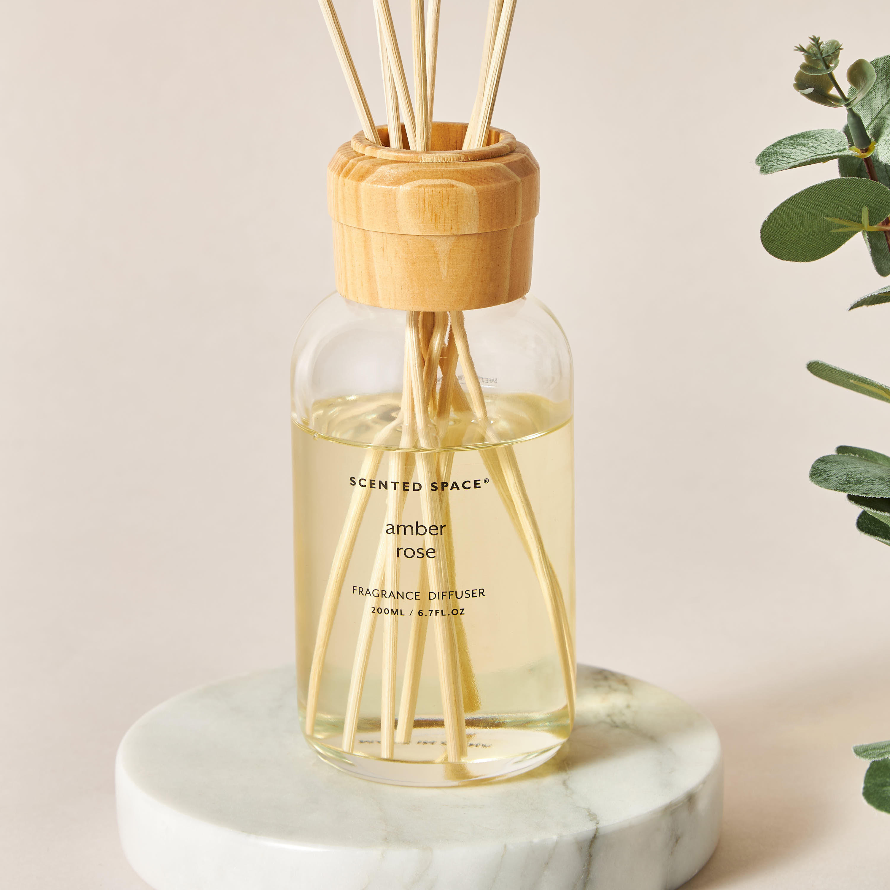 Scented Space Amberian Woods Reed Diffuser - 200 ml-household-homefragrance-reeddiffusers-image-2
