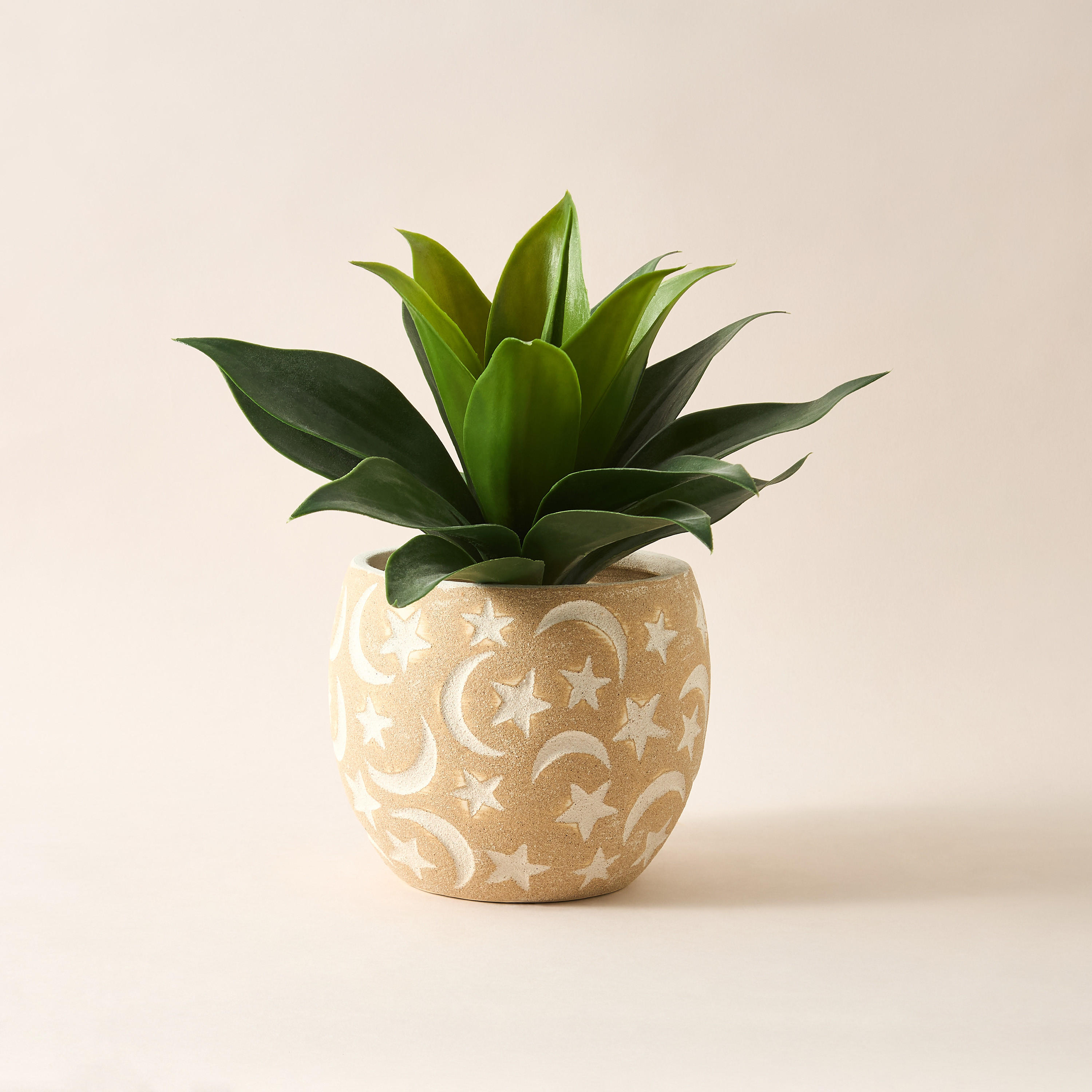 Decorative Ceramic Pot - 18x21 cms-household-gardenandoutdoor-trellisandstands-plantrisers-image-3